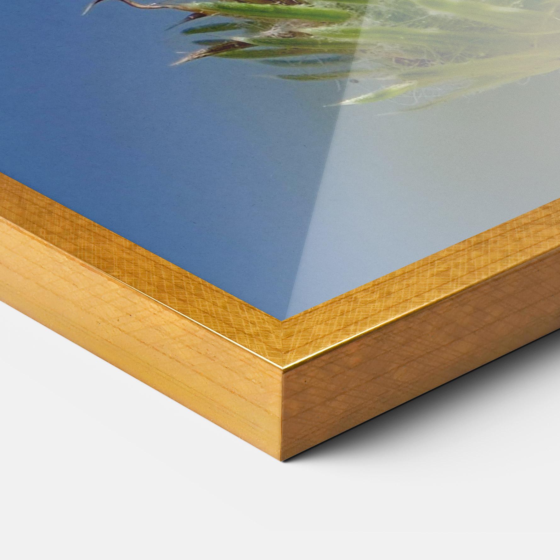 Keretezett Poszter Grey White Butterfly mockup 3