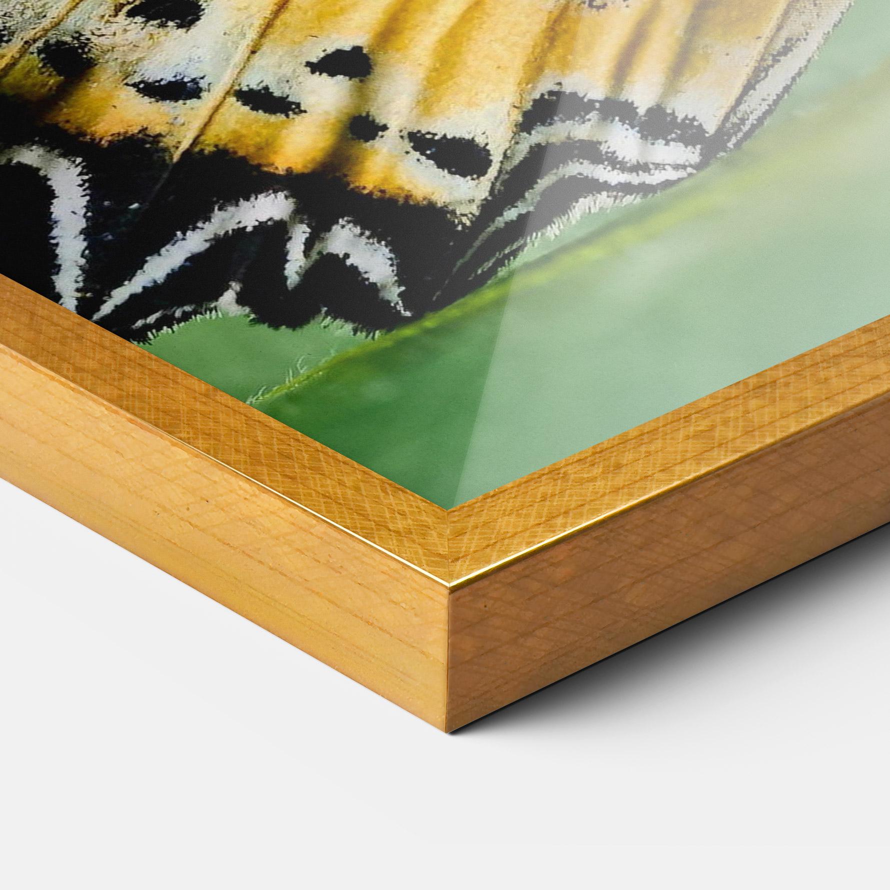 Keretezett Poszter Pretty Colorful Butterfly mockup 3