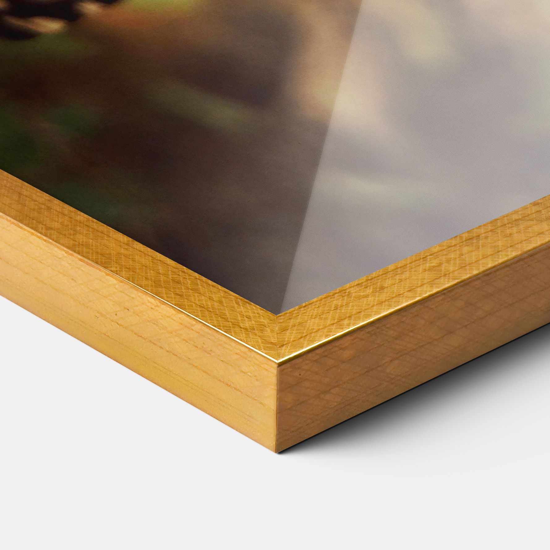 Wild Brown Butterfly mockup 3