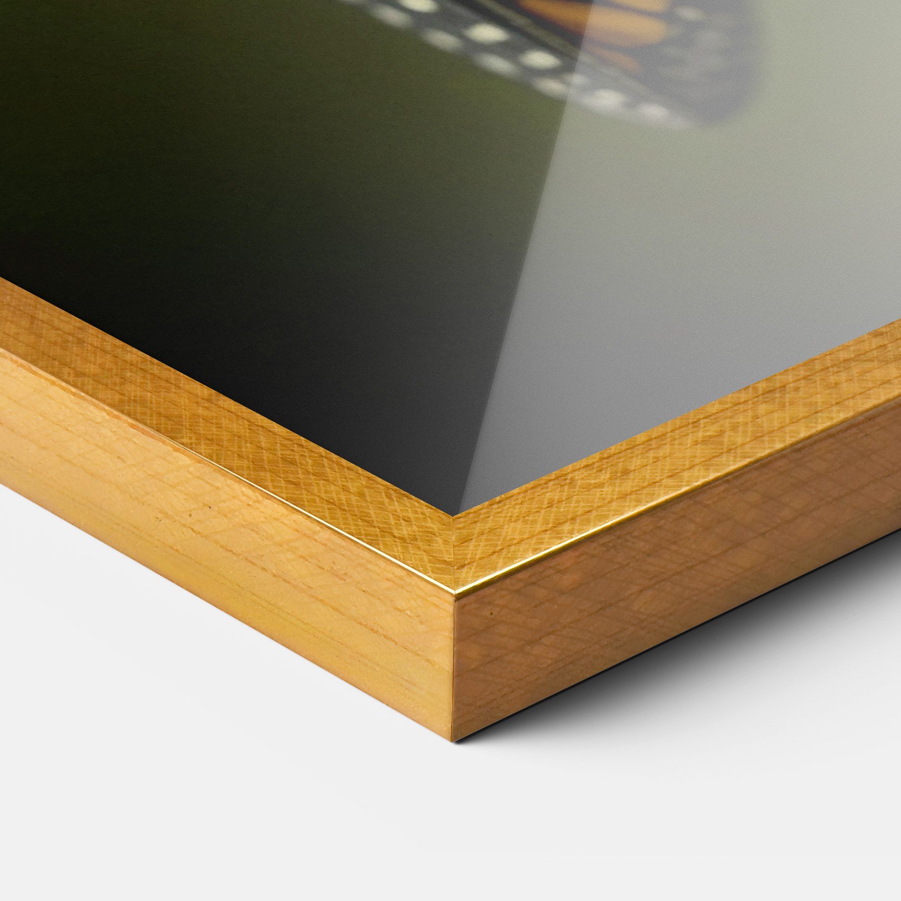 Yellow Black Butterfly mockup 3