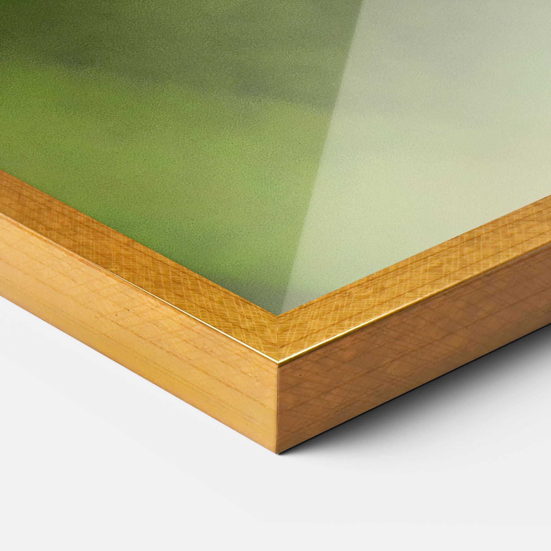 Yellow White Butterfly mockup 3