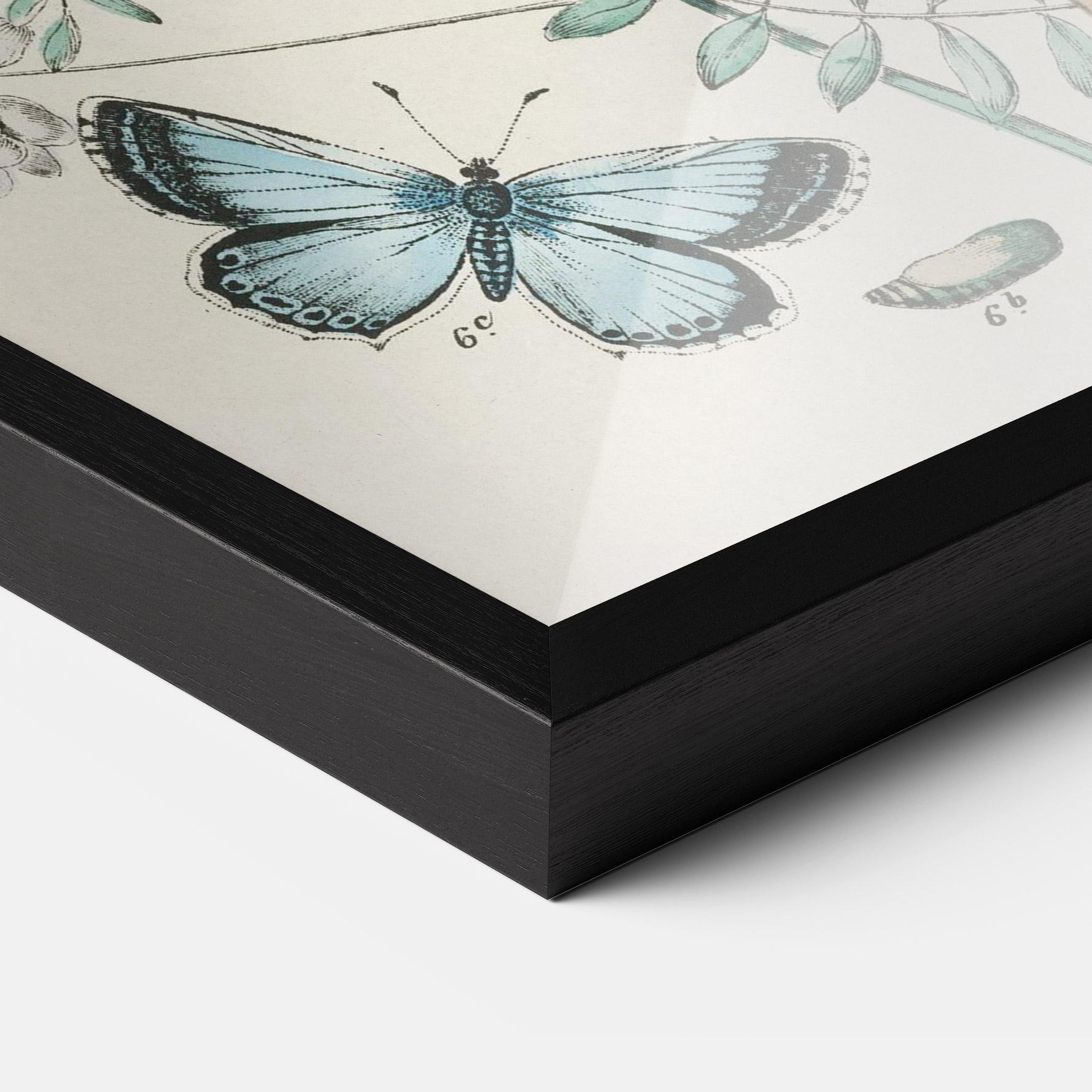 Keretezett Poszter Blue Orange Butterflies mockup 3