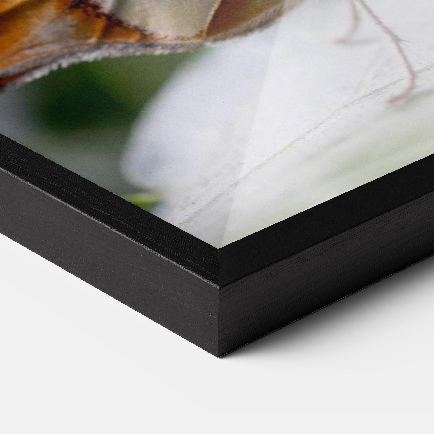 Keretezett Poszter Brown Yellow Butterfly mockup 3