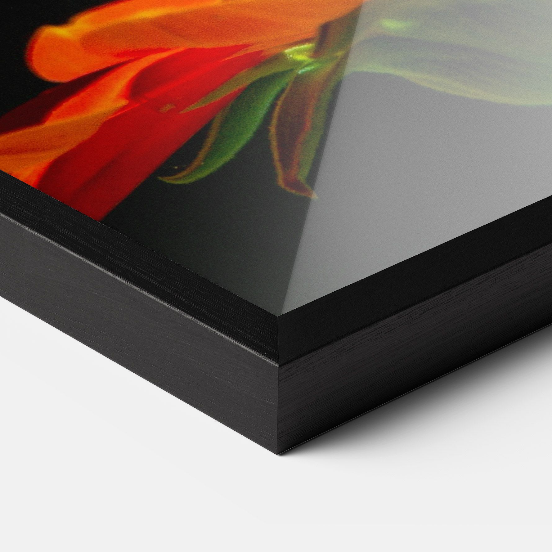 Dark Orange Butterfy mockup 3