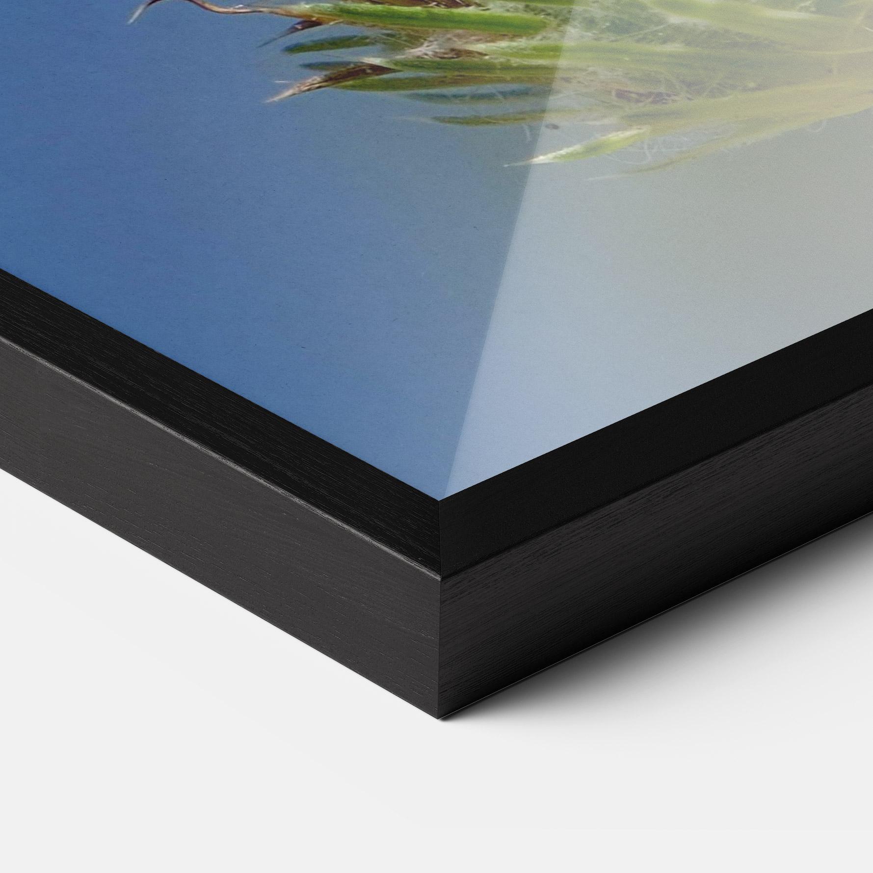 Keretezett Poszter Grey White Butterfly mockup 3