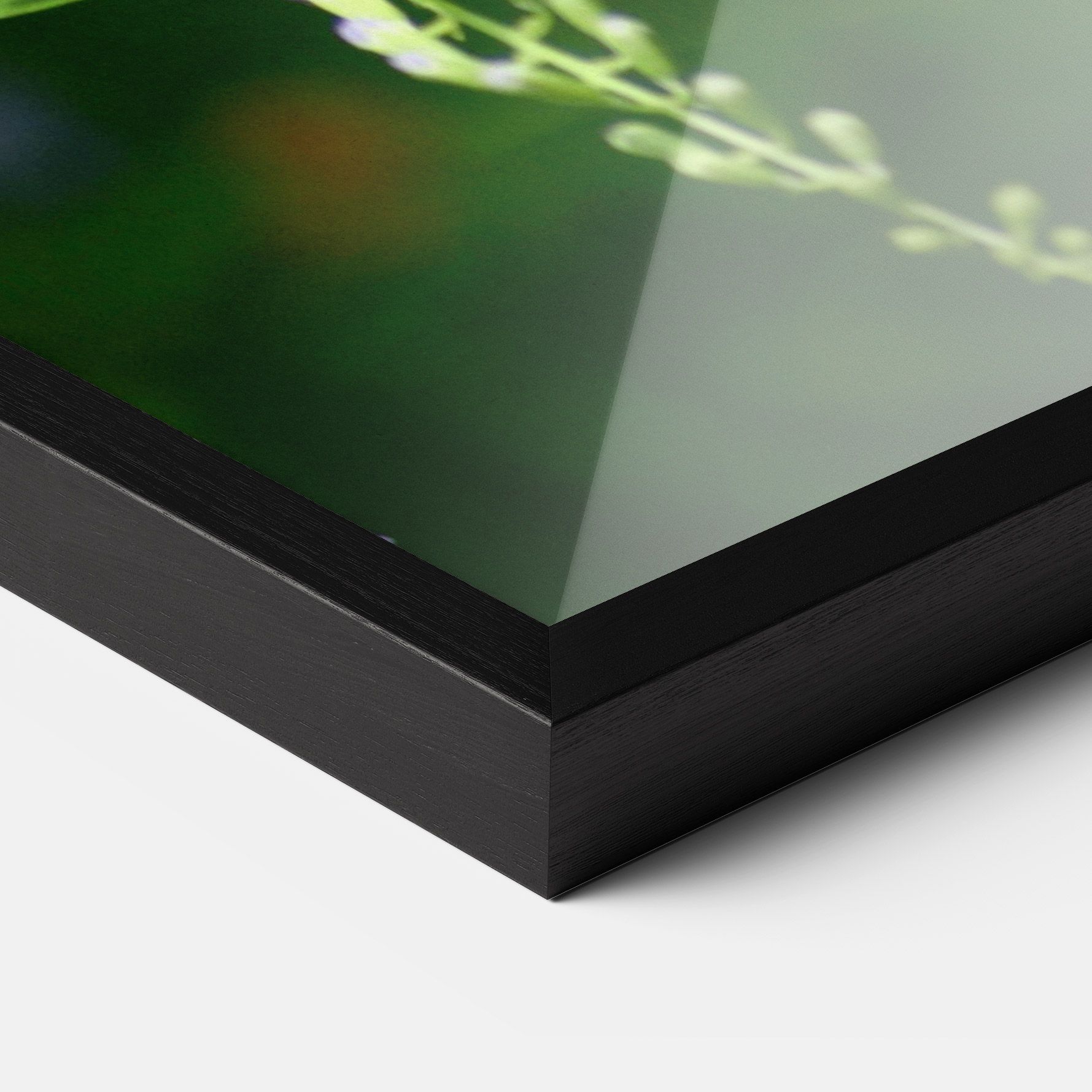 Pretty White Butterfly mockup 3