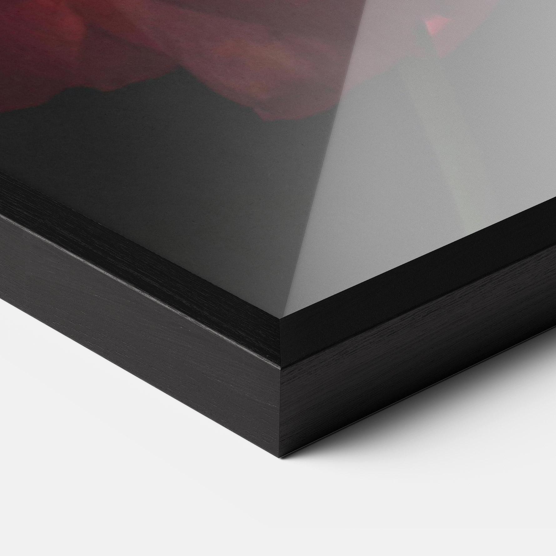 Keretezett Poszter Rose Butterfly mockup 3