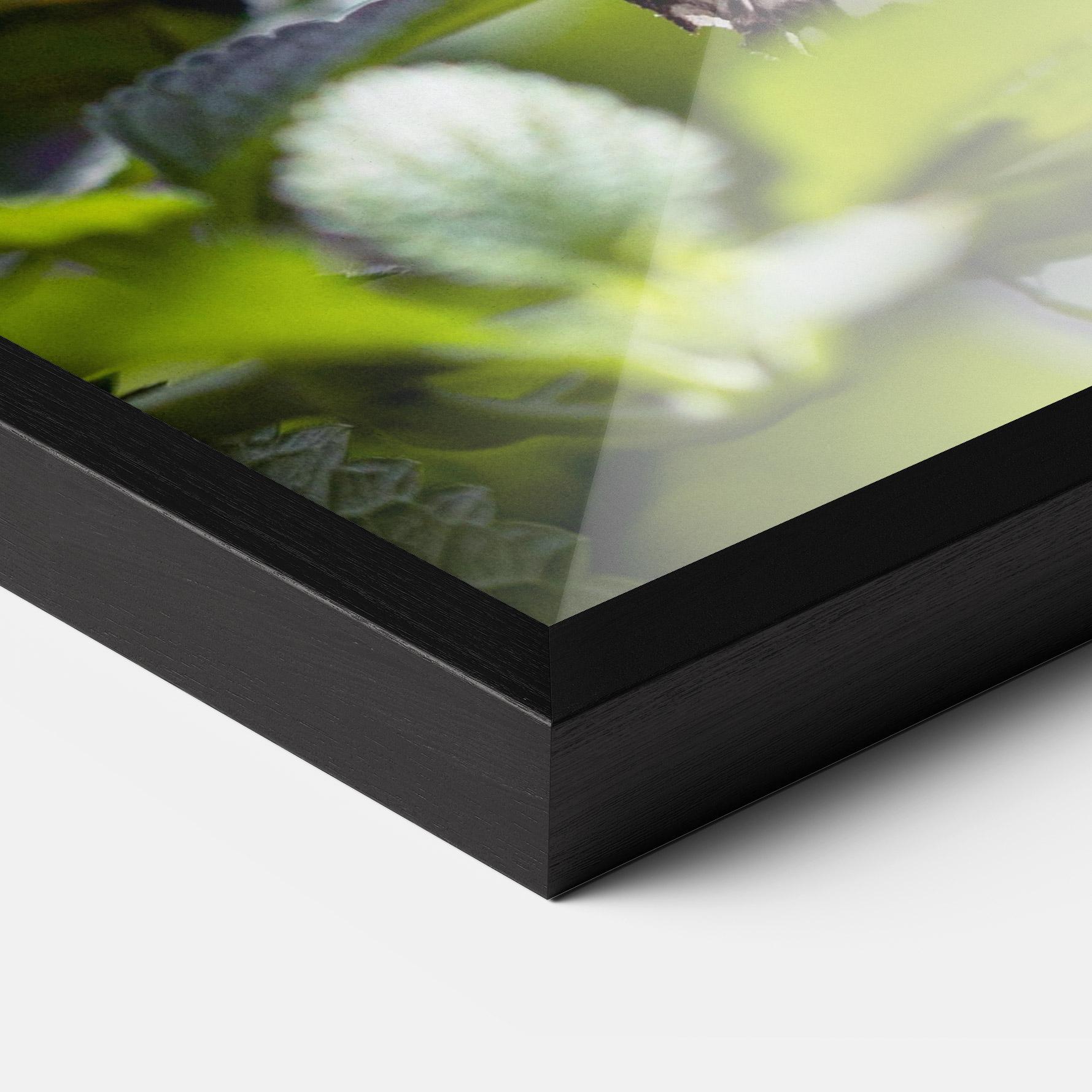 Keretezett Poszter White Black Butterfly mockup 3