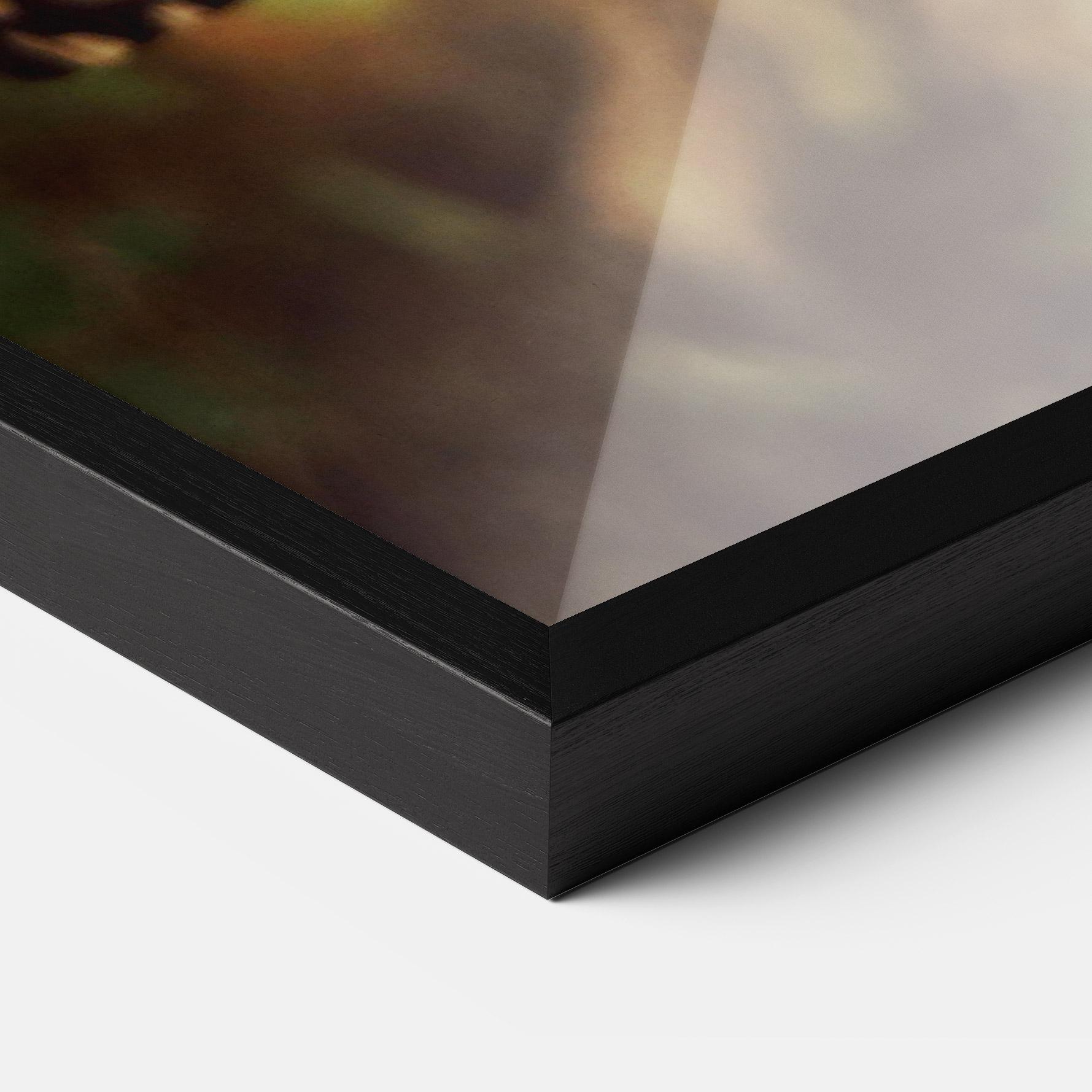 Keretezett Poszter Wild Brown Butterfly mockup 3