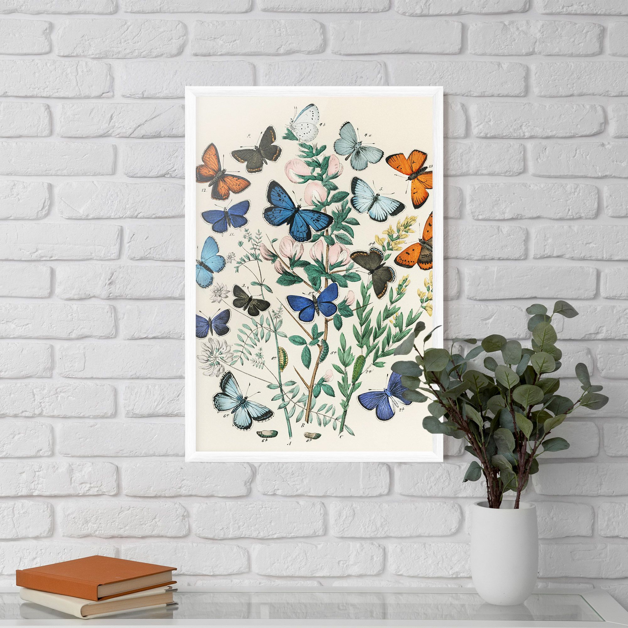 Blue Orange Butterflies mockup 5