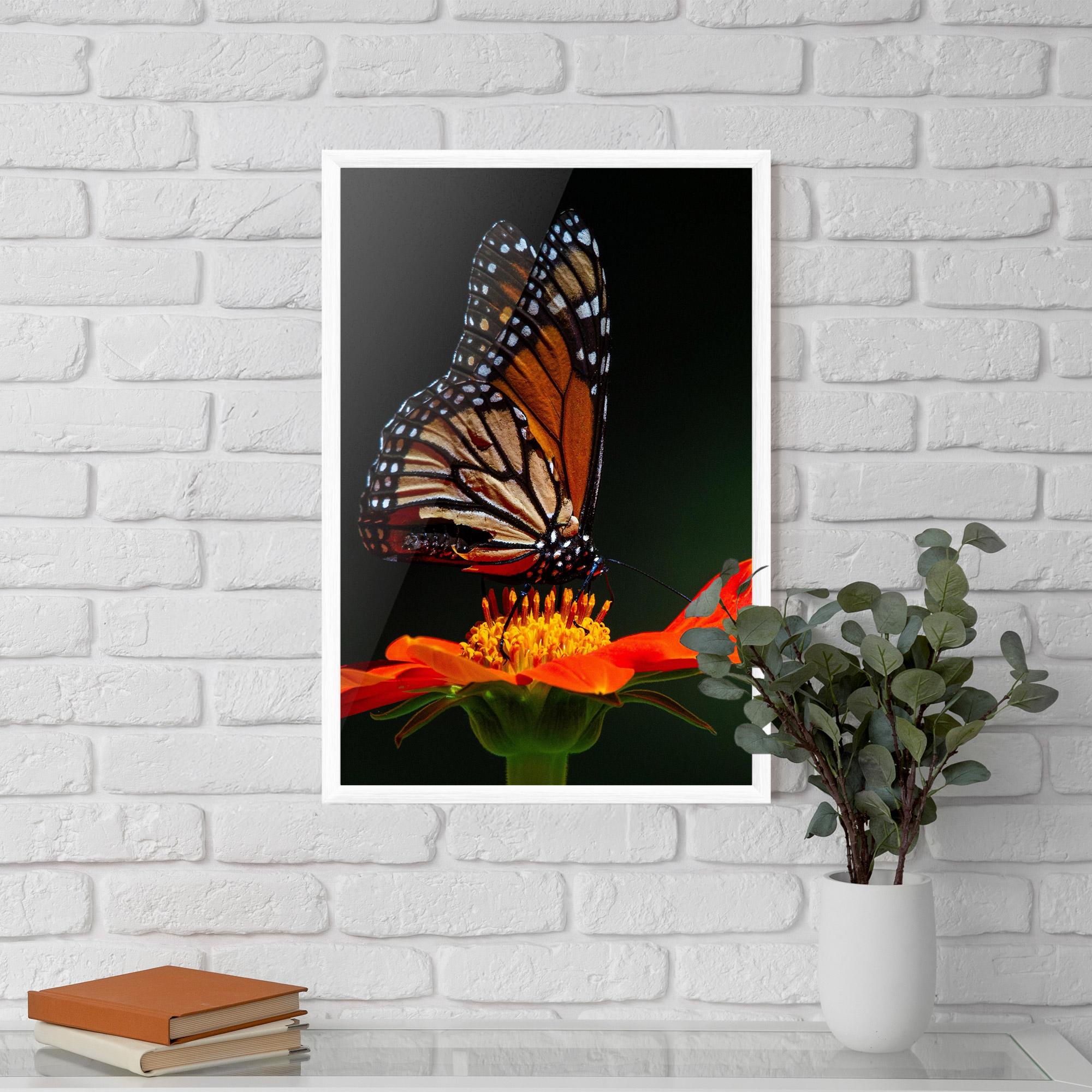 Keretezett Poszter Dark Orange Butterfy mockup 5