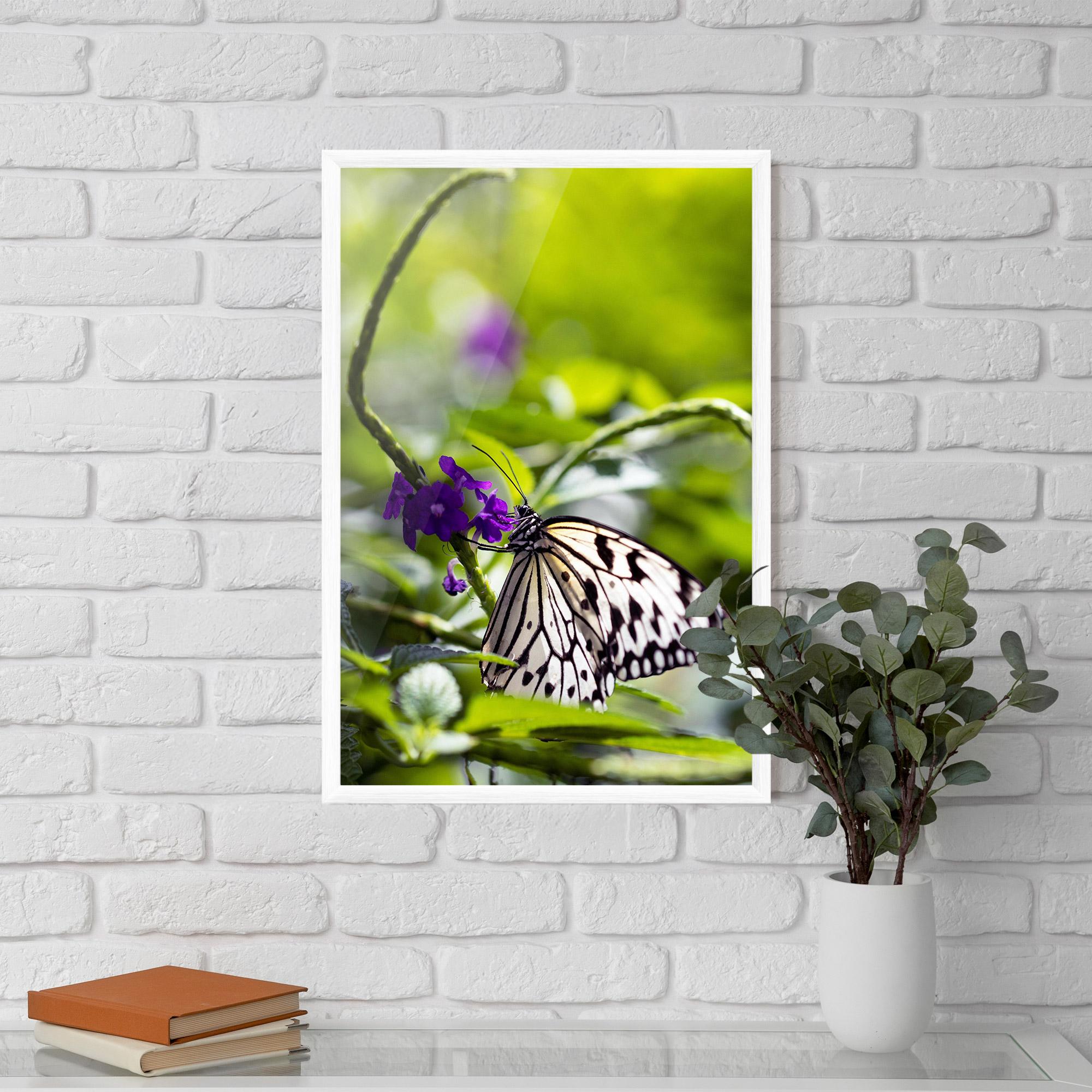 Keretezett Poszter White Black Butterfly mockup 5