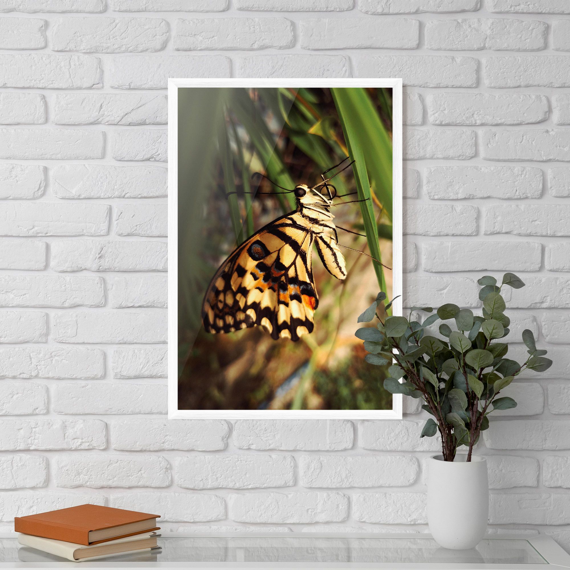 Wild Brown Butterfly mockup 5