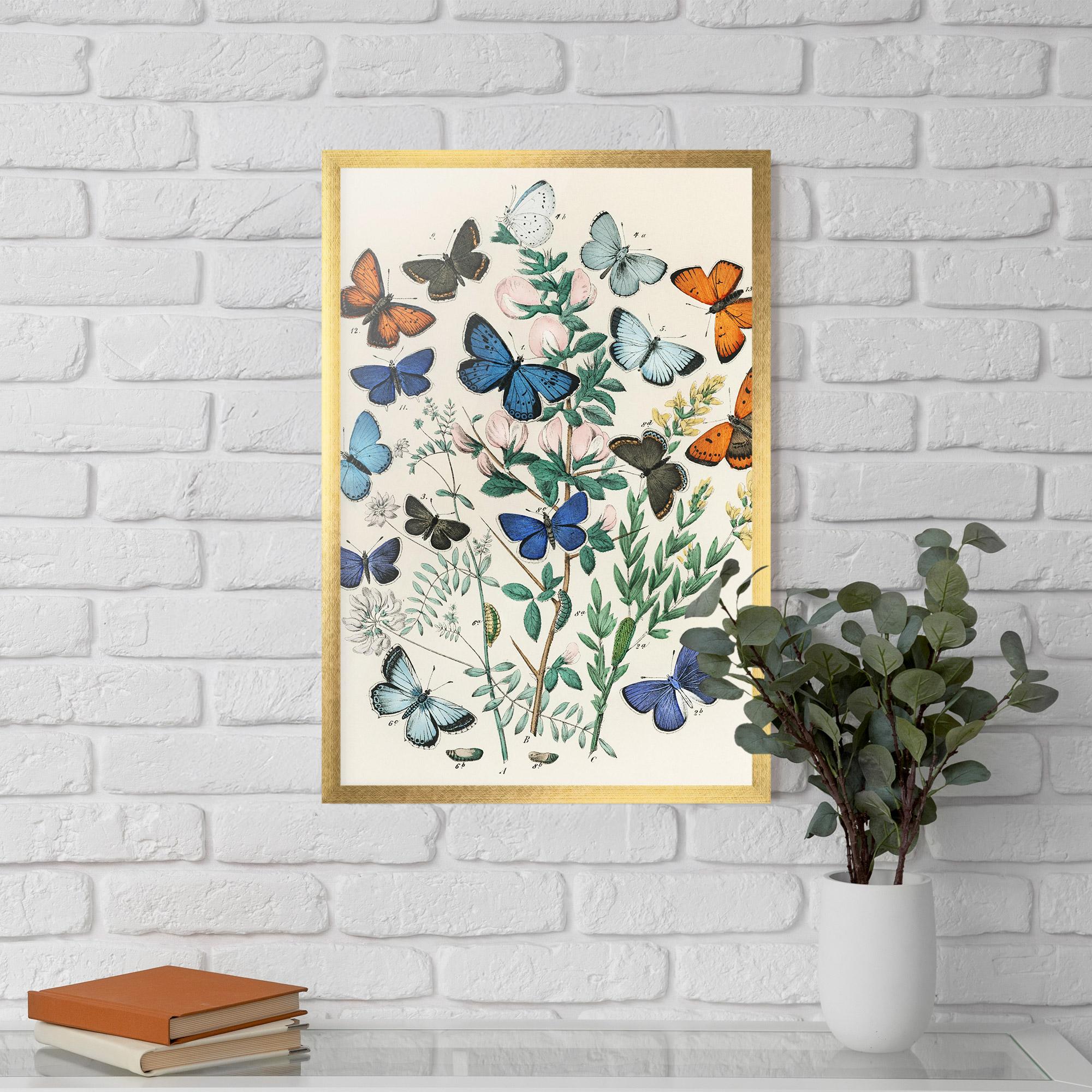 Keretezett Poszter Blue Orange Butterflies mockup 5