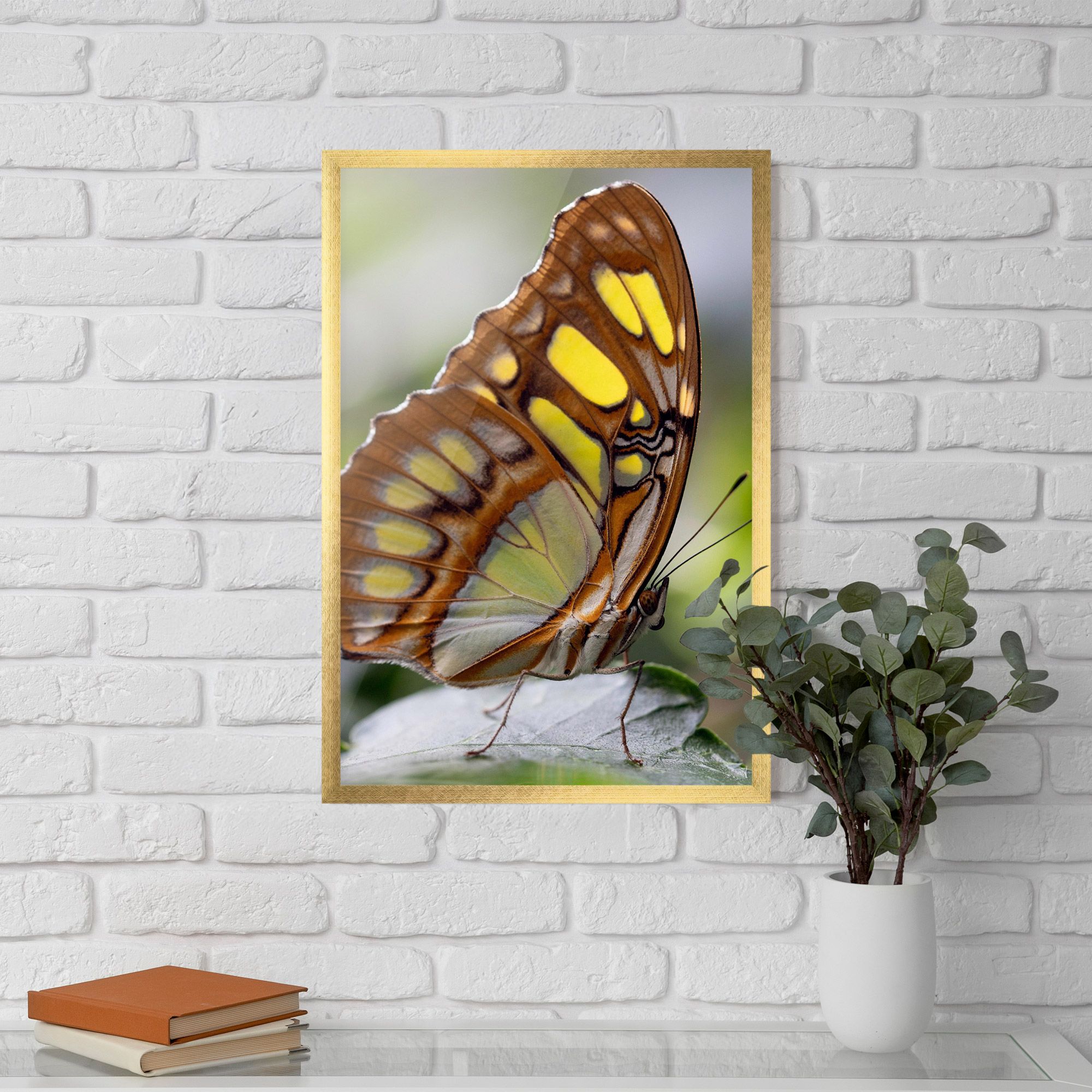 Brown Yellow Butterfly mockup 5