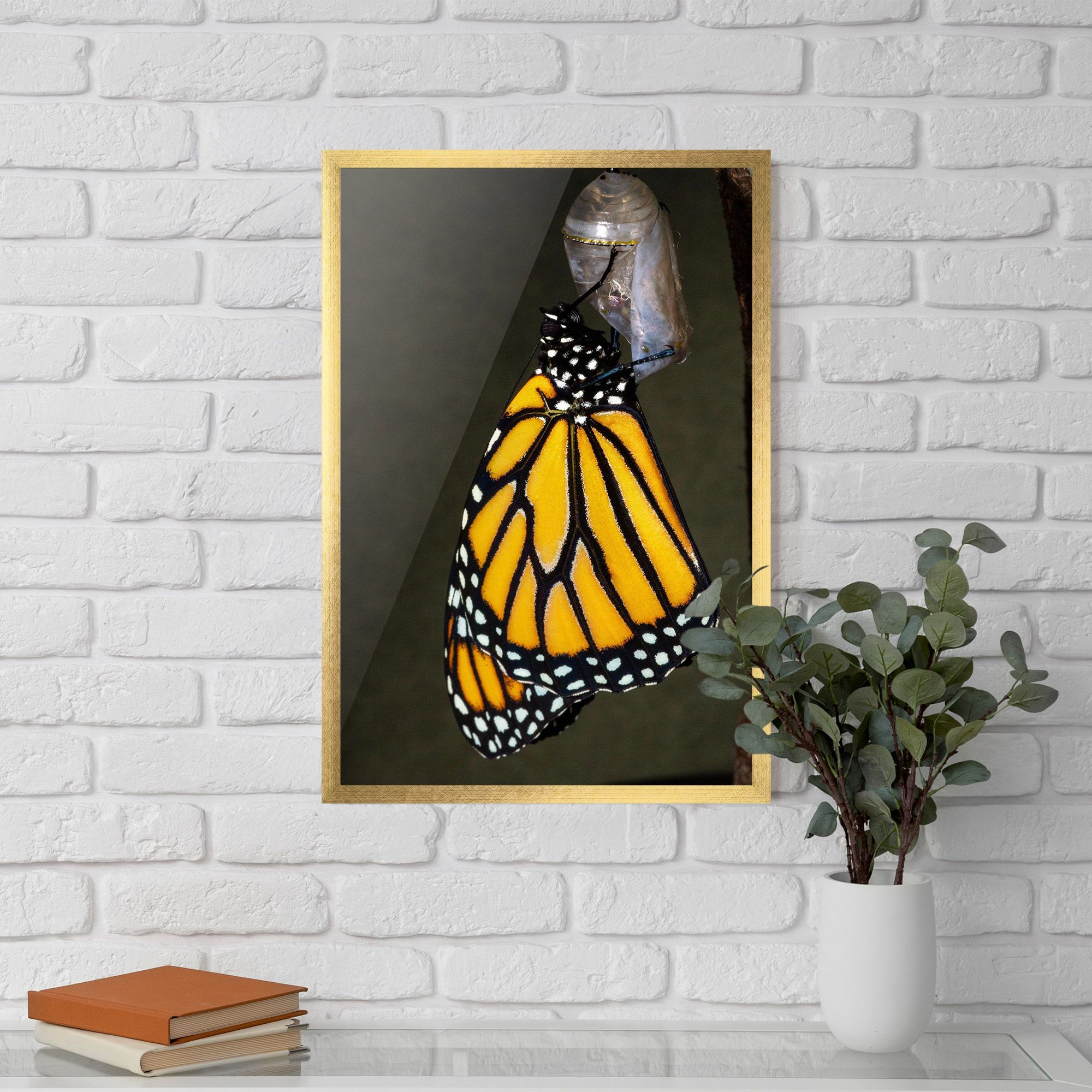 Dark Yellow Butterfly mockup 5