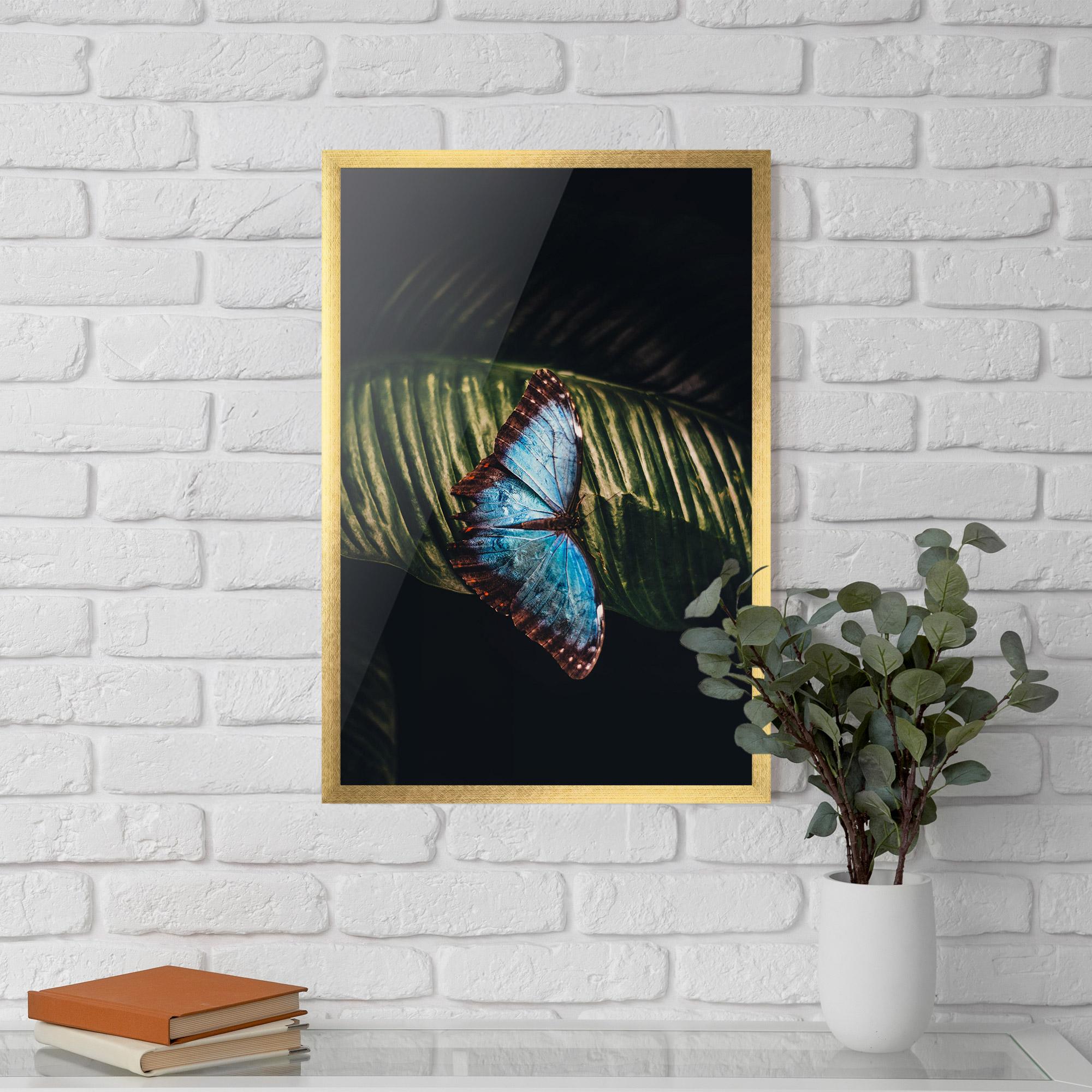 Keretezett Poszter Light Blue Butterfly mockup 5