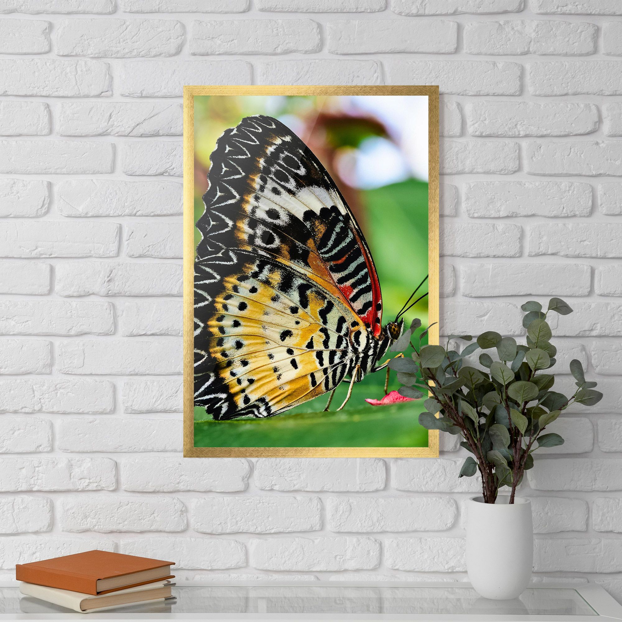 Pretty Colorful Butterfly mockup 5