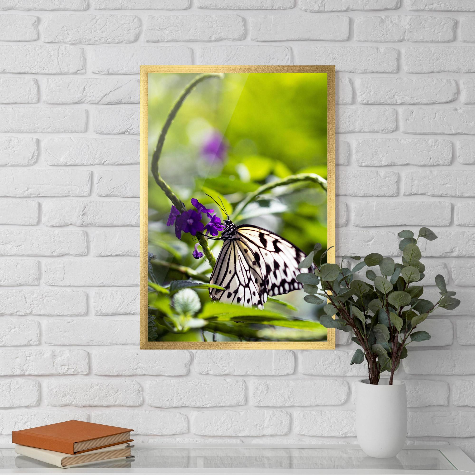 Keretezett Poszter White Black Butterfly mockup 5