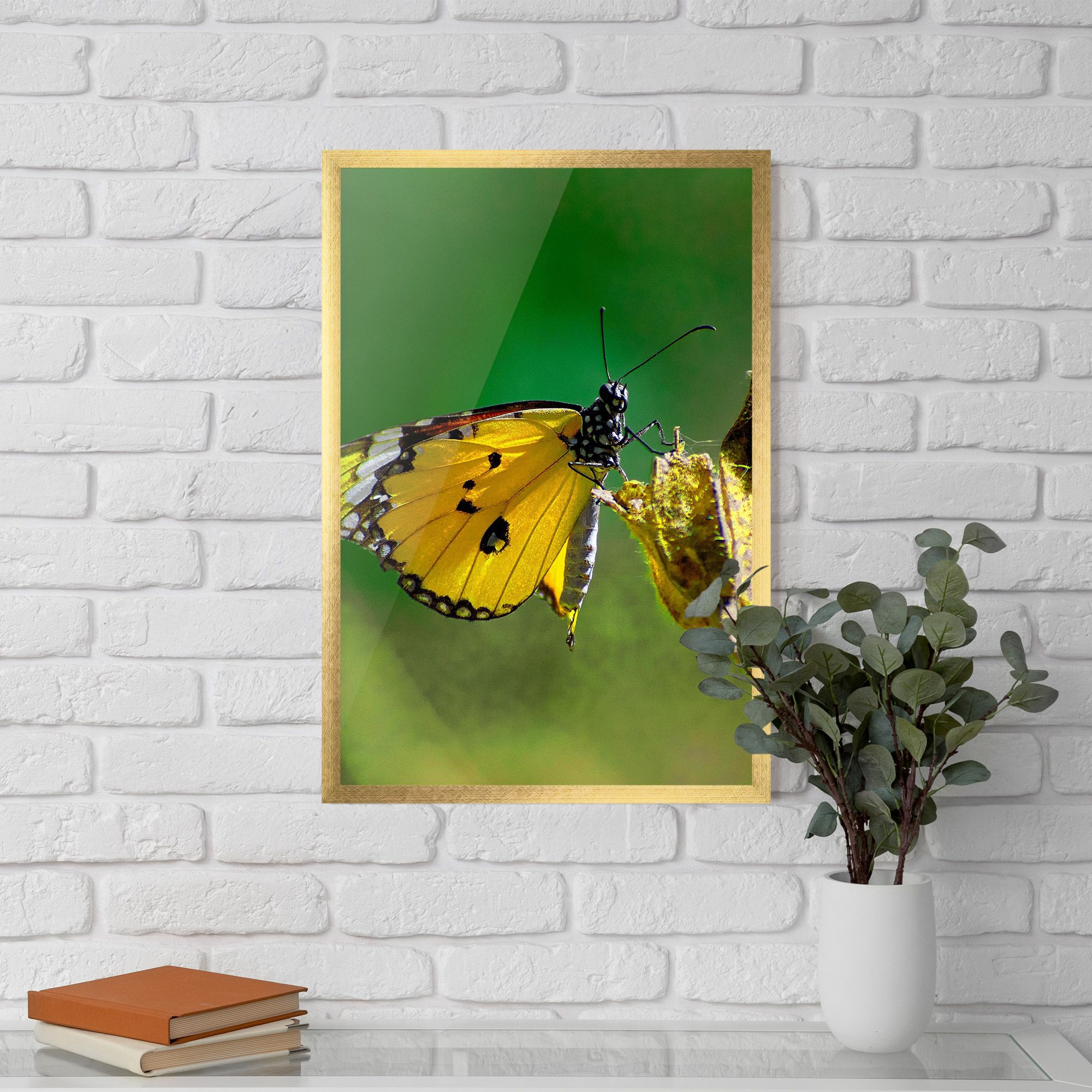 Yellow White Butterfly mockup 5