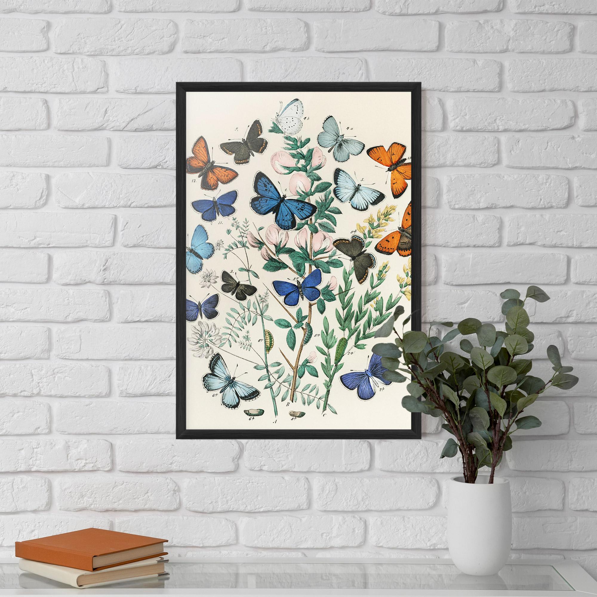 Keretezett Poszter Blue Orange Butterflies mockup 5