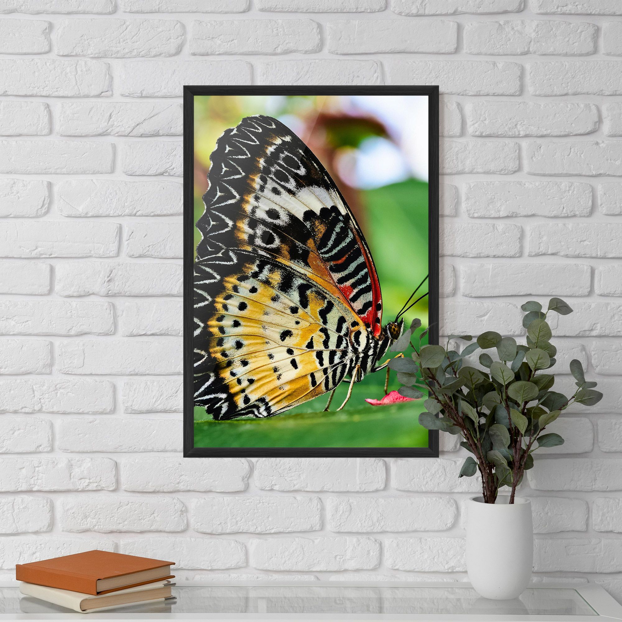 Pretty Colorful Butterfly mockup 5