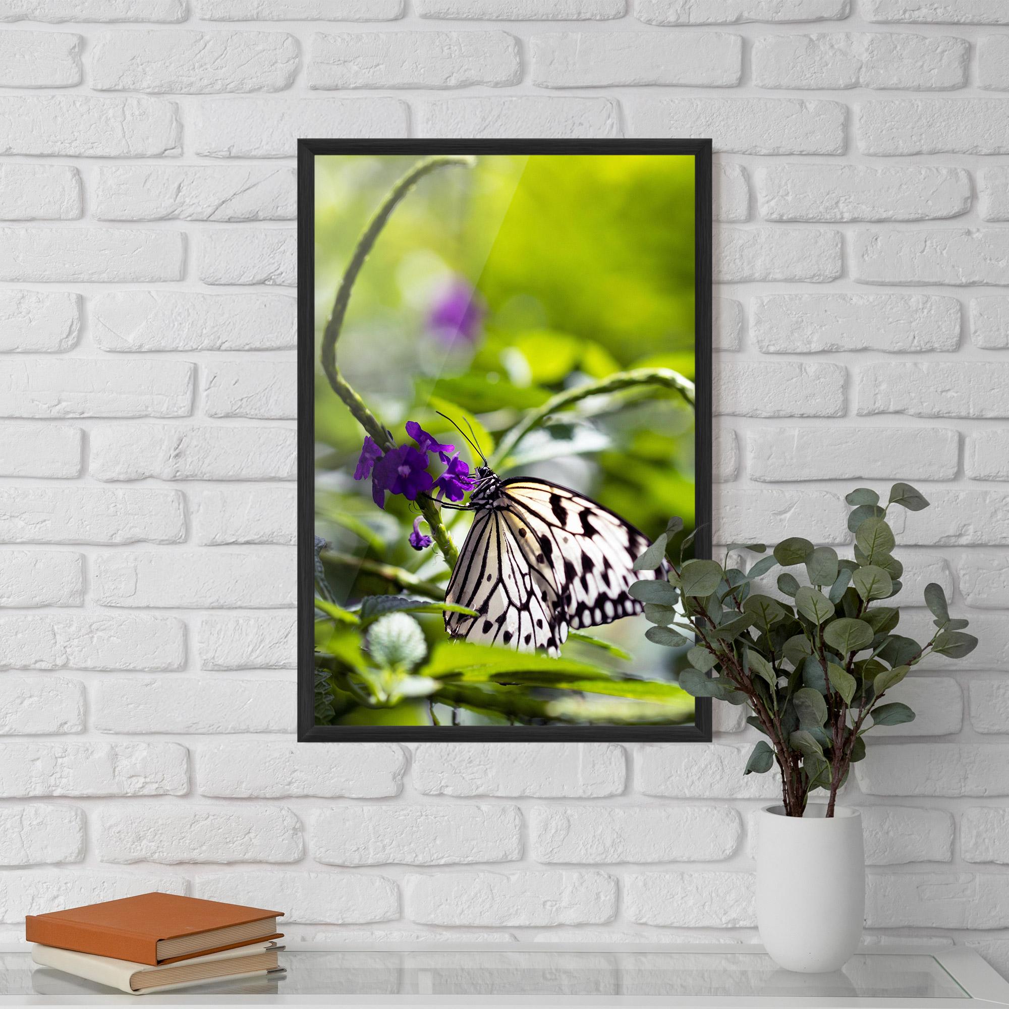 Keretezett Poszter White Black Butterfly mockup 5