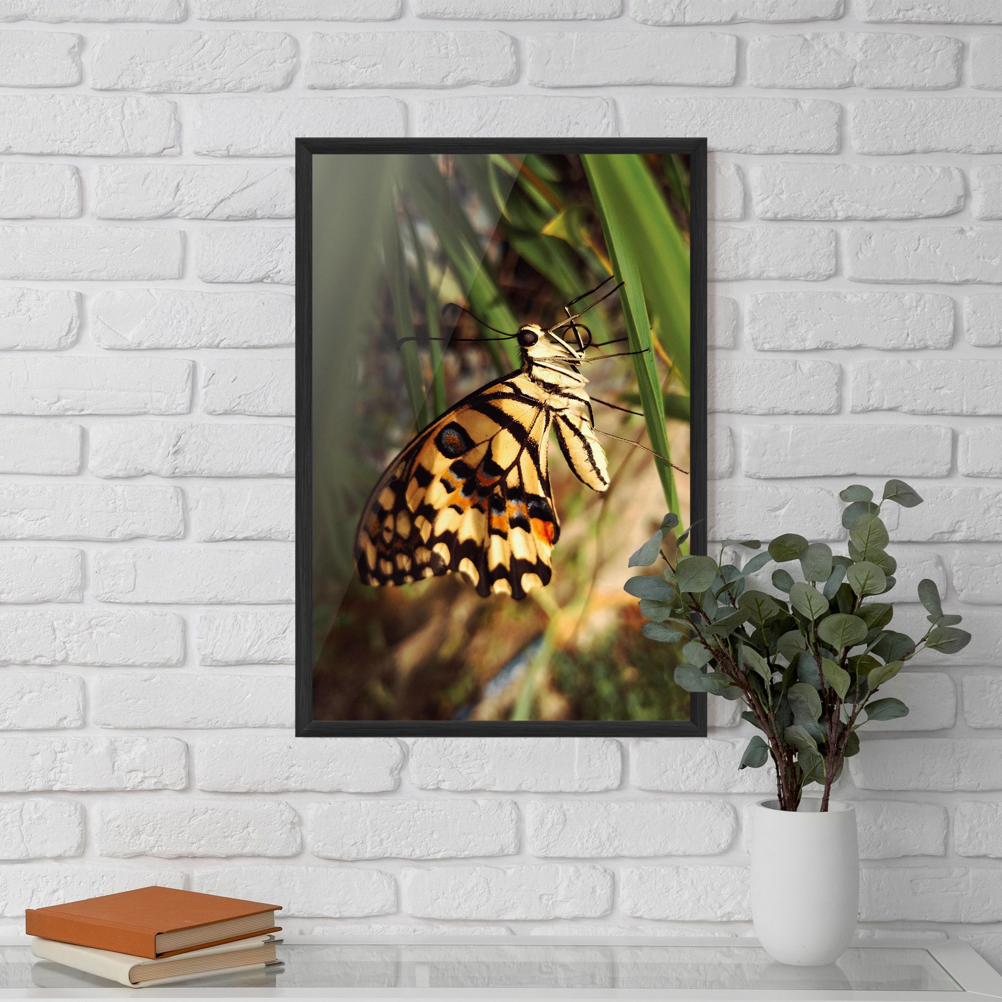 Wild Brown Butterfly mockup 5