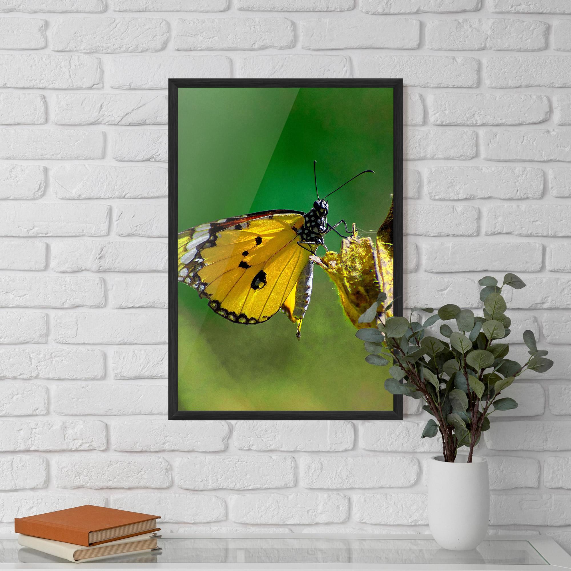 Keretezett Poszter Yellow White Butterfly mockup 5