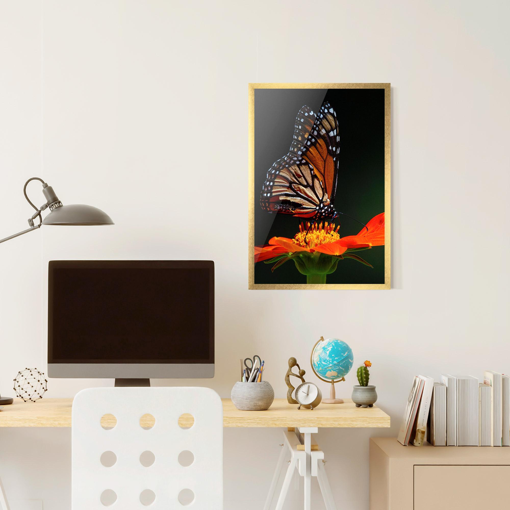 Keretezett Poszter Dark Orange Butterfy mockup 6