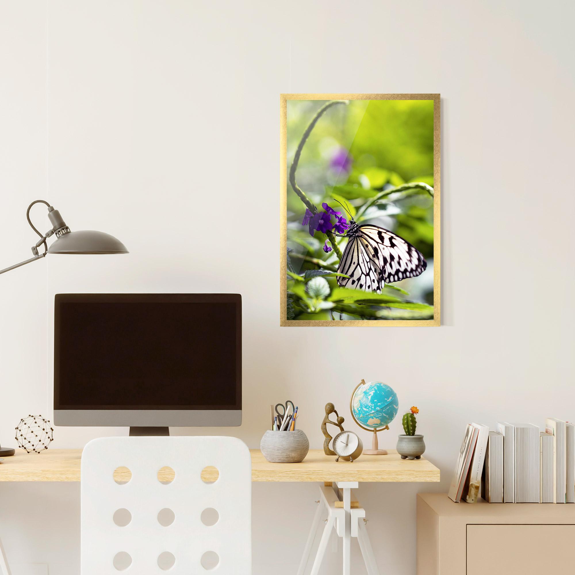 Keretezett Poszter White Black Butterfly mockup 6