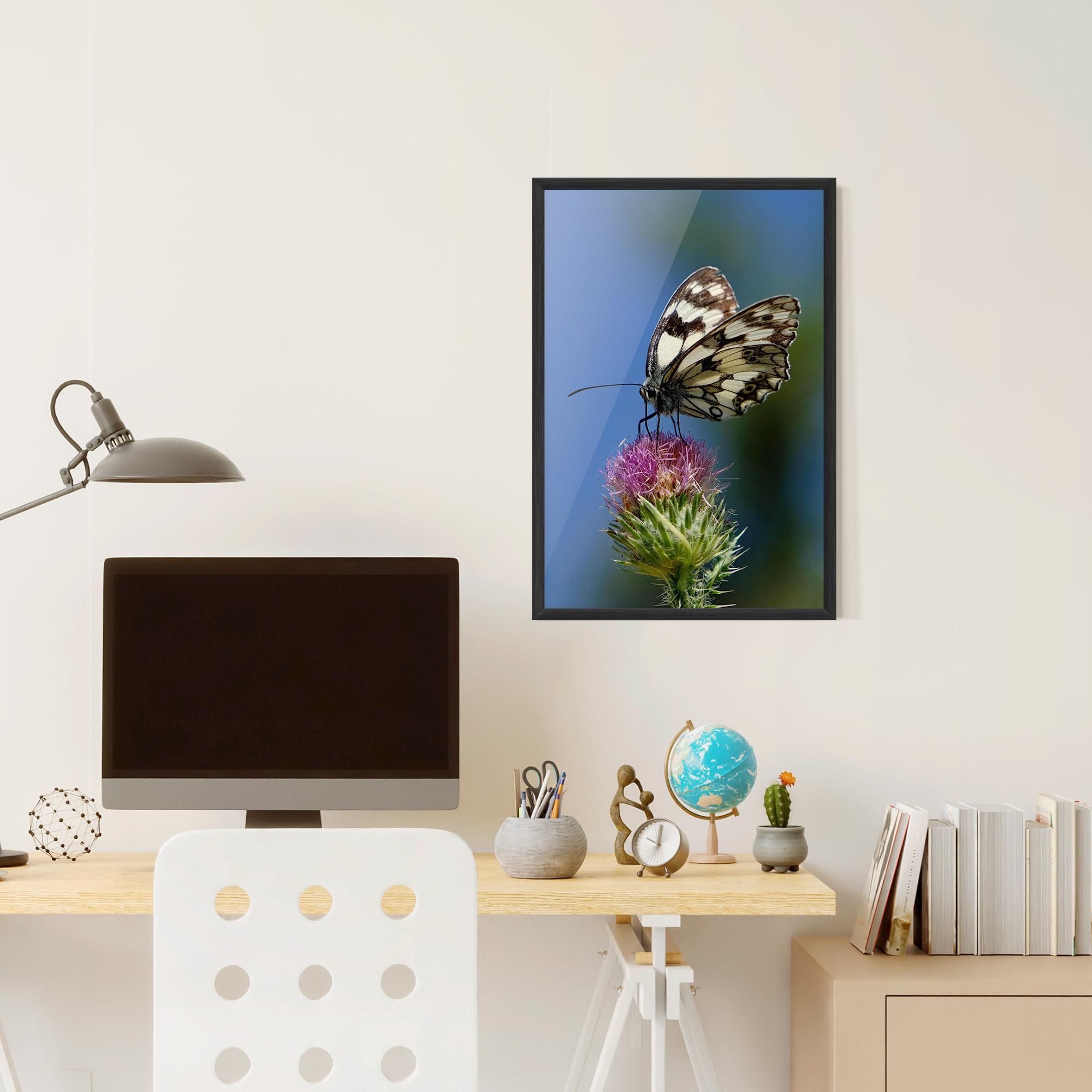 Keretezett Poszter Grey White Butterfly mockup 6