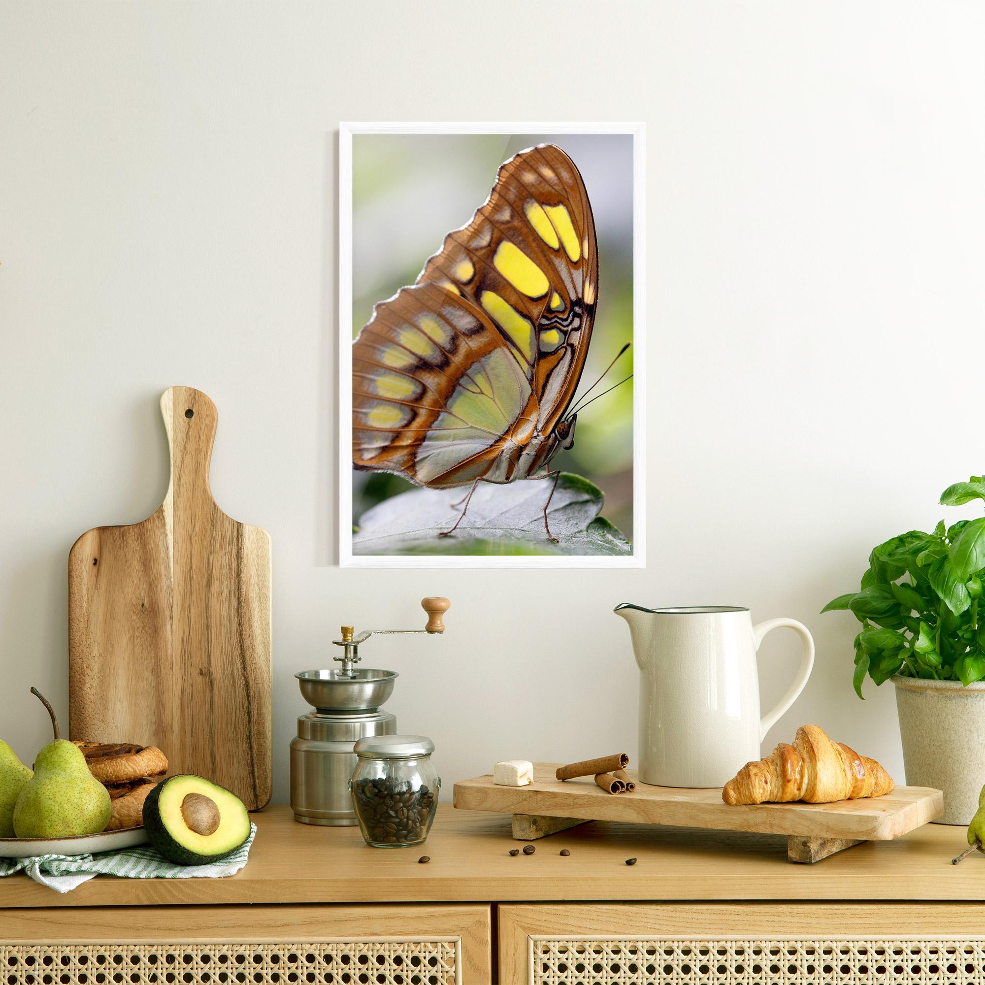 Keretezett Poszter Brown Yellow Butterfly mockup 8