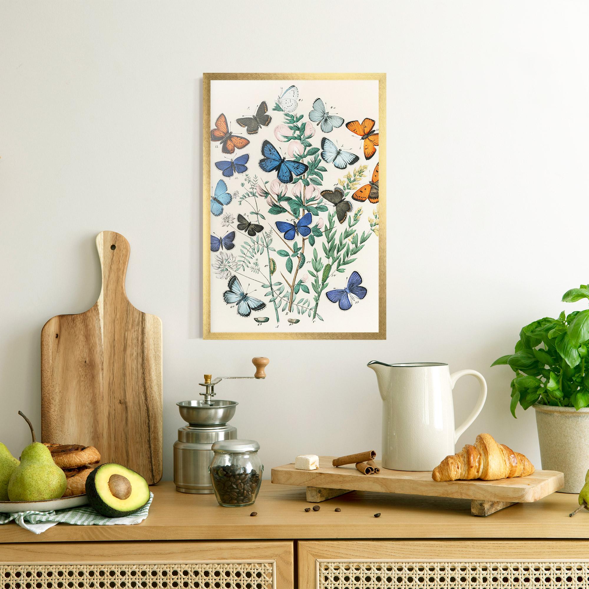 Keretezett Poszter Blue Orange Butterflies mockup 8