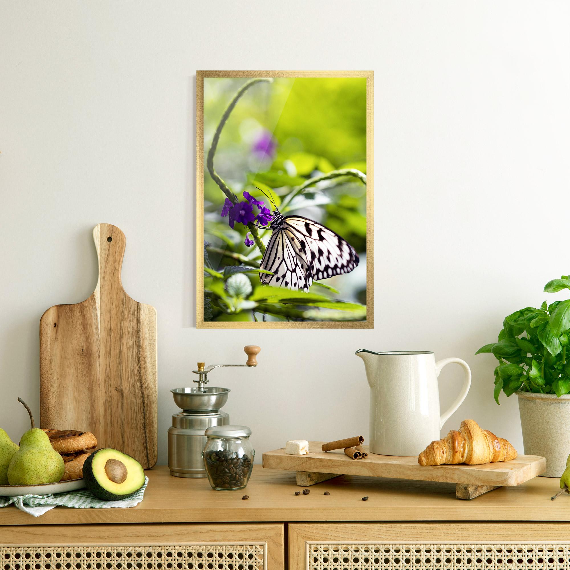 Keretezett Poszter White Black Butterfly mockup 8