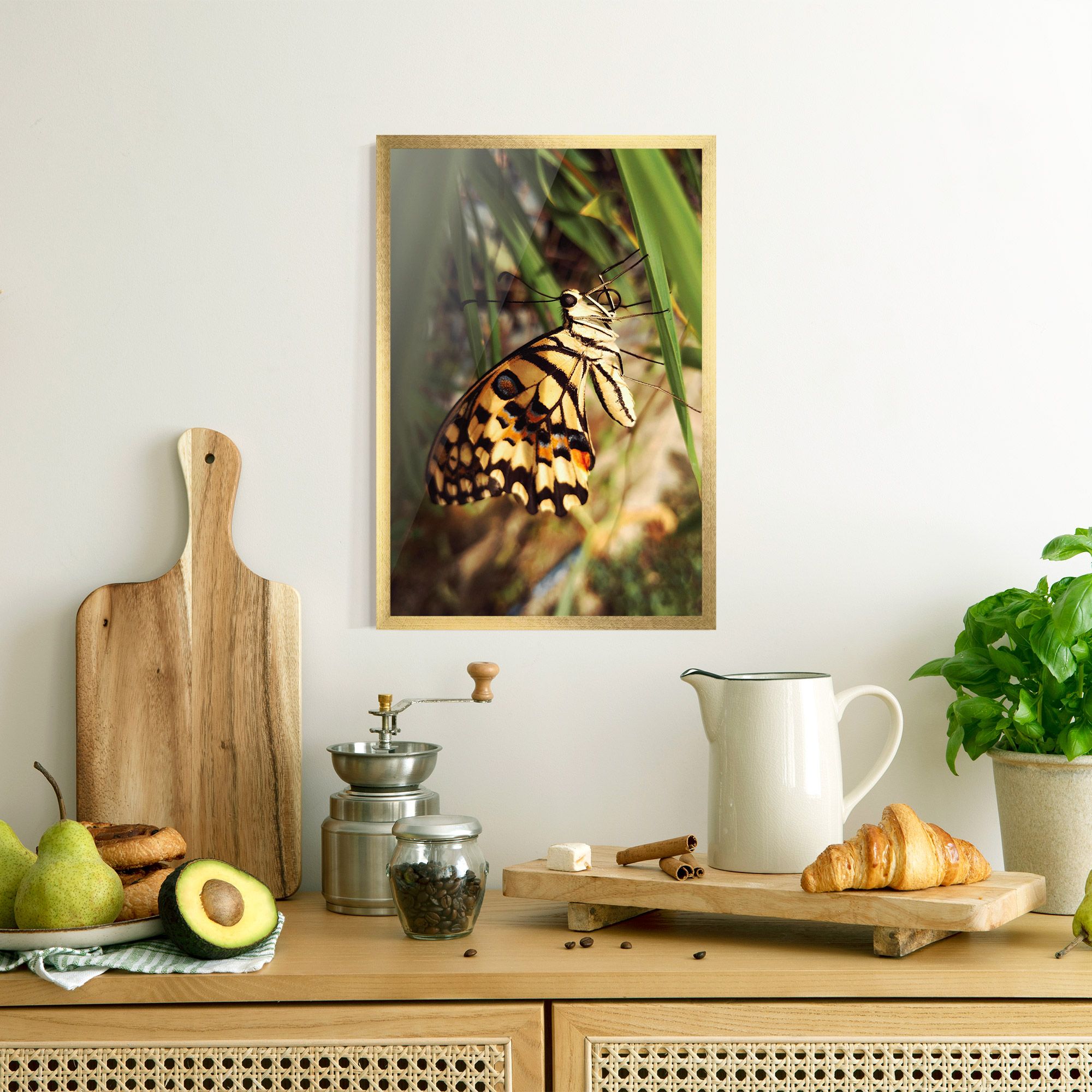 Wild Brown Butterfly mockup 8