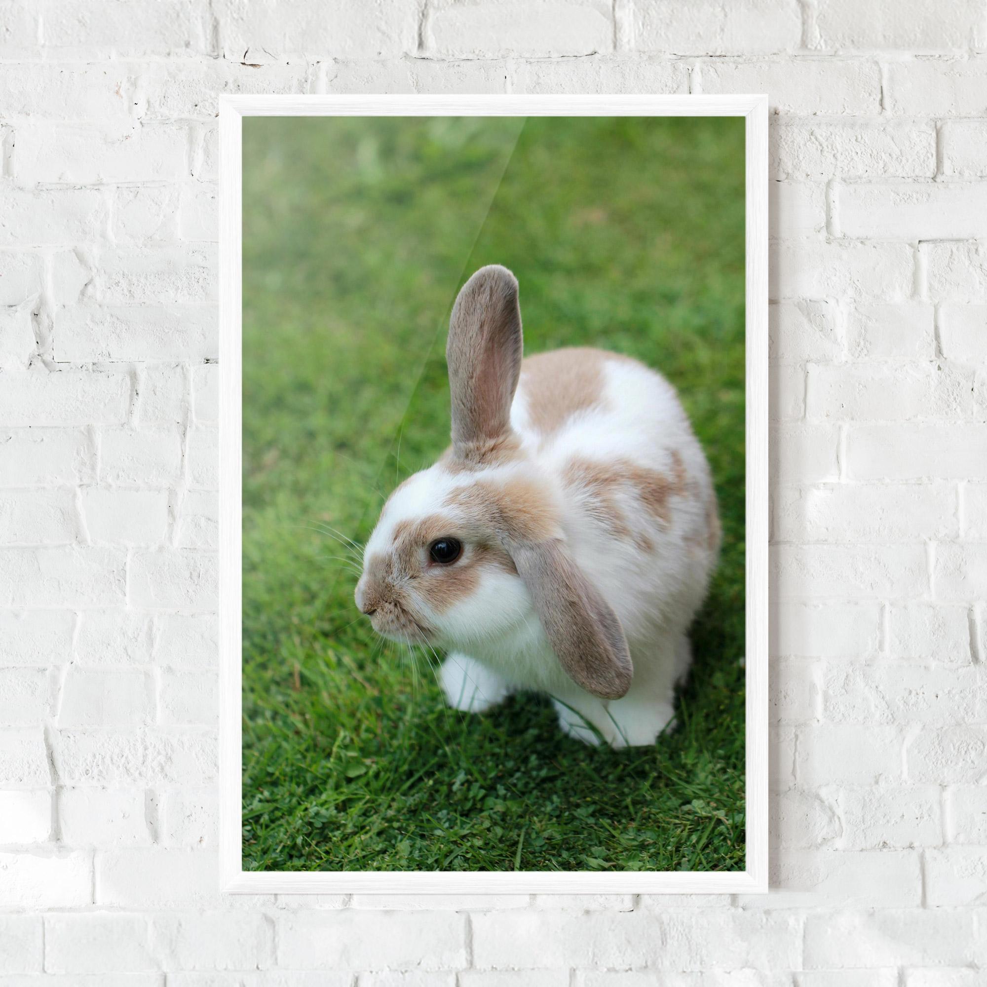 Keretezett Poszter Light Orange Bunny mockup 0