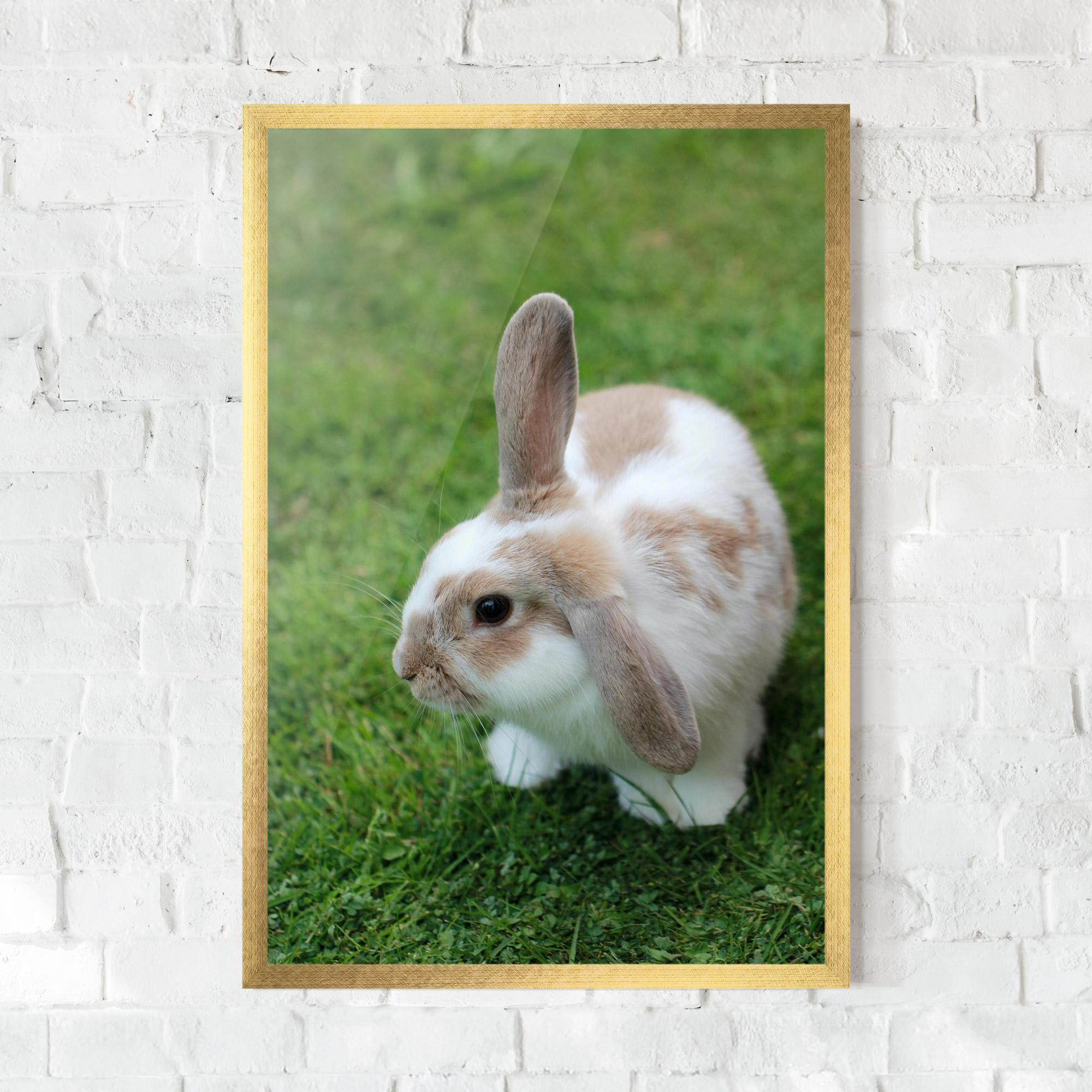 Keretezett Poszter Light Orange Bunny mockup 0