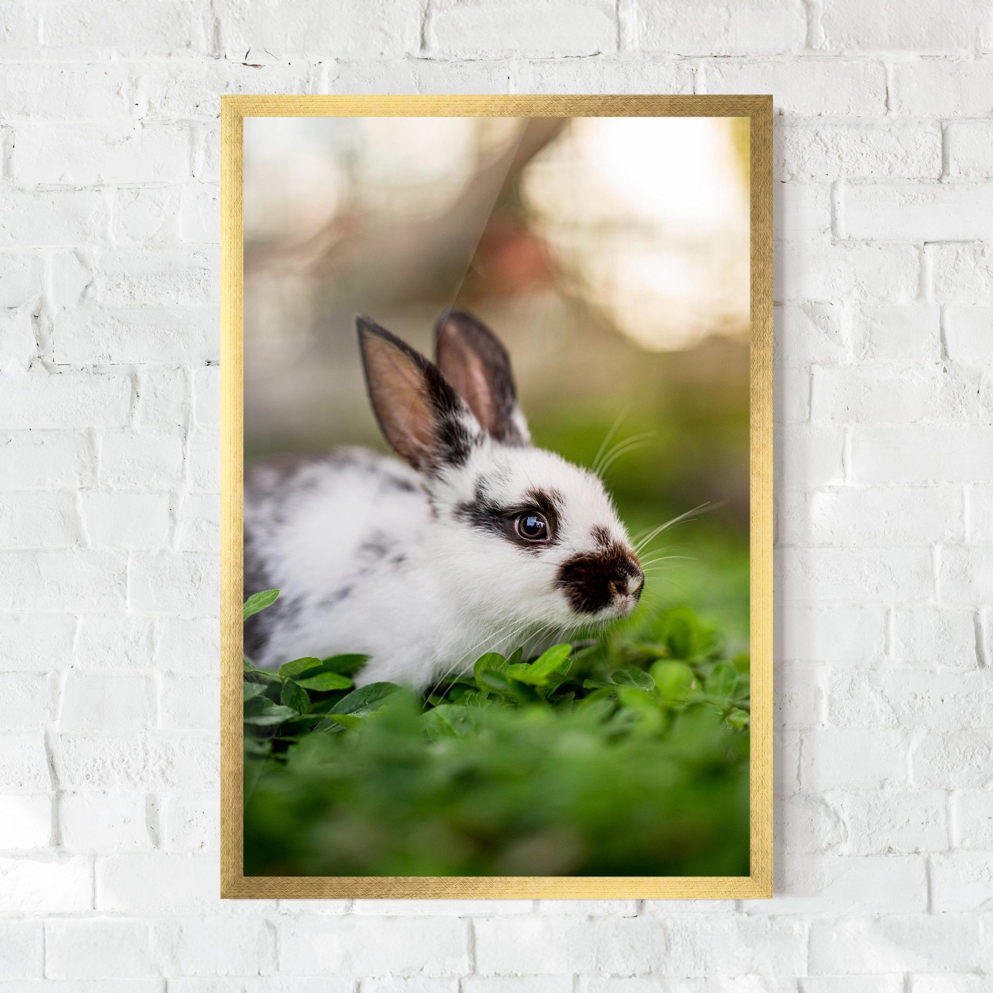 White Black Bunny mockup 0