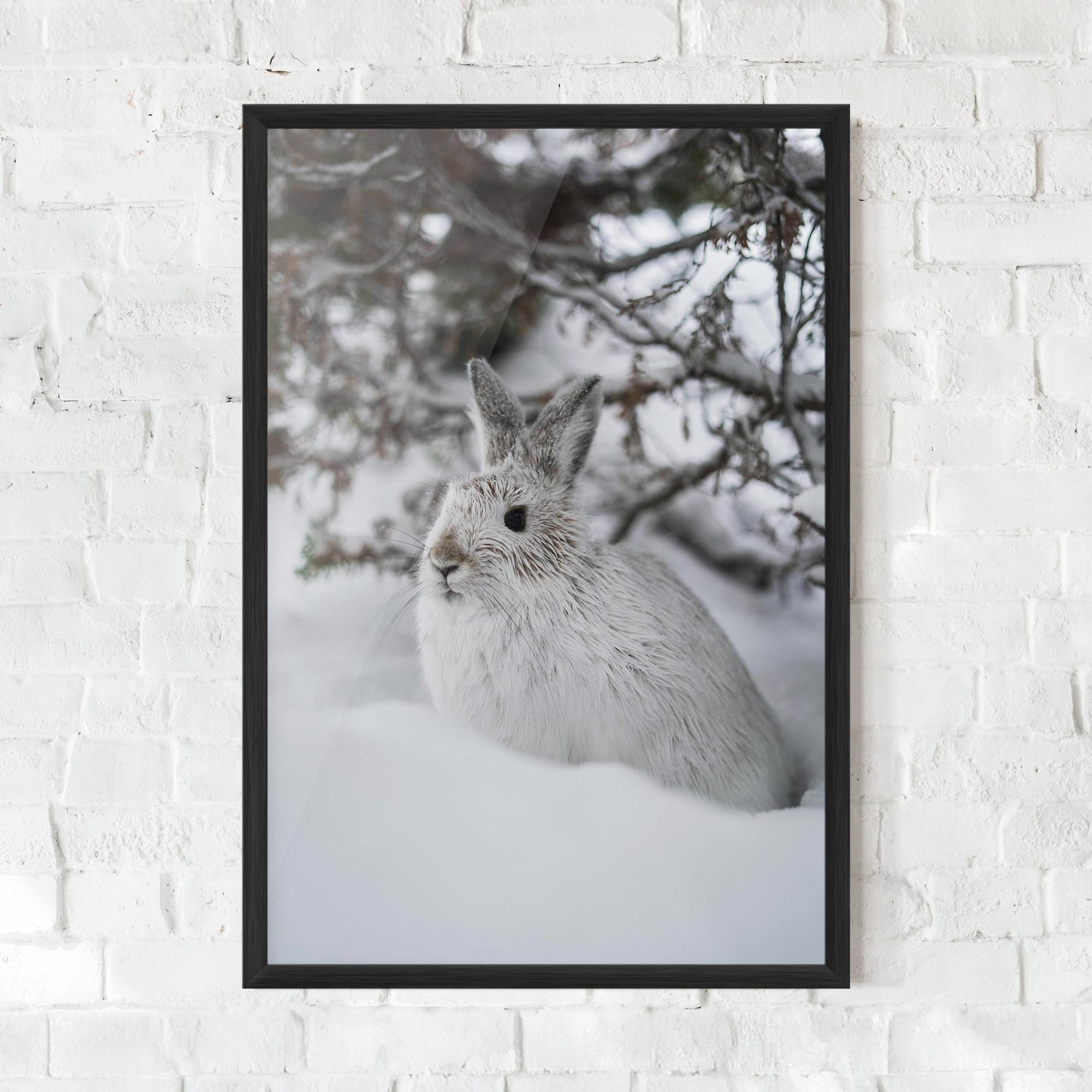 Keretezett Poszter Bunny In Snow mockup 0