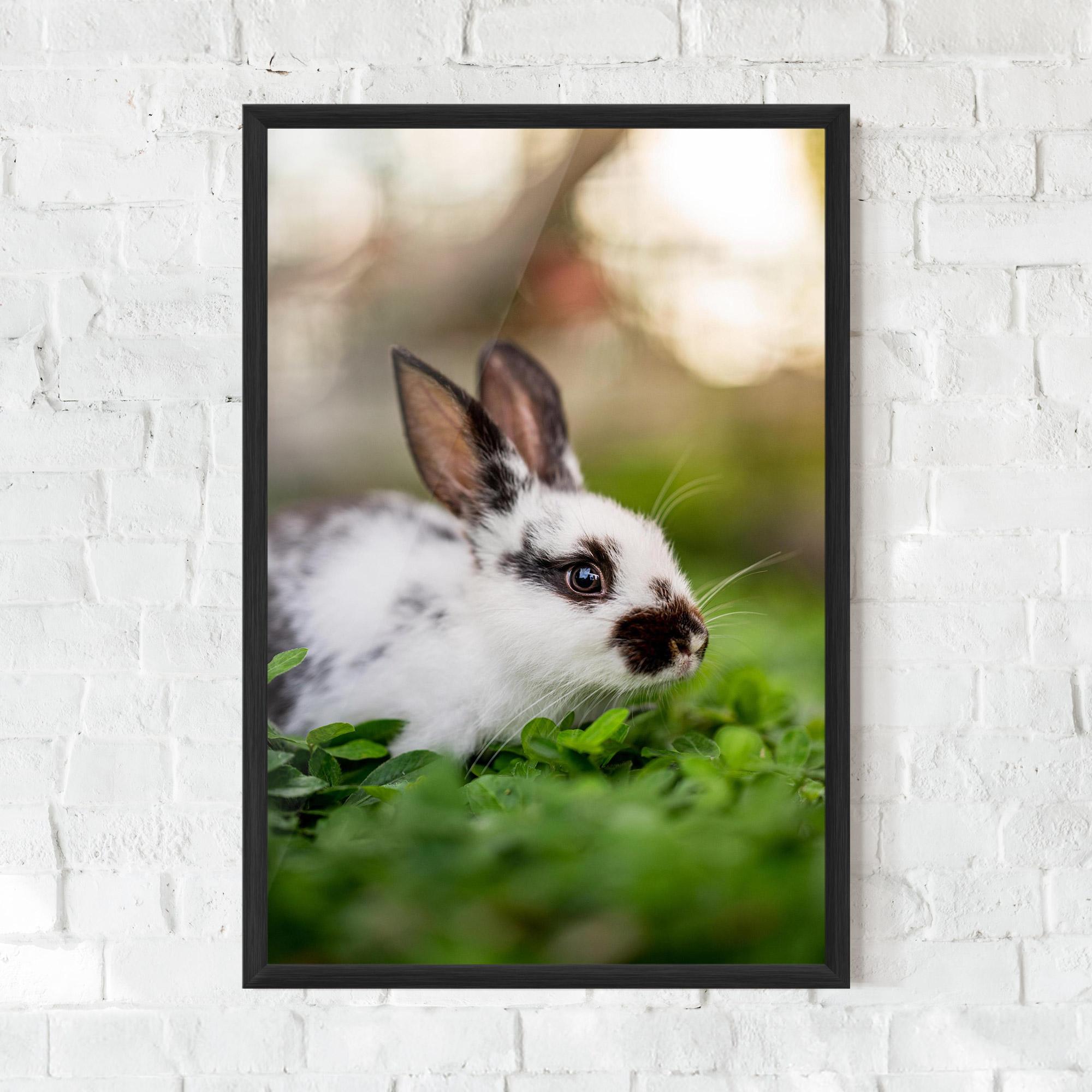 Keretezett Poszter White Black Bunny mockup 0
