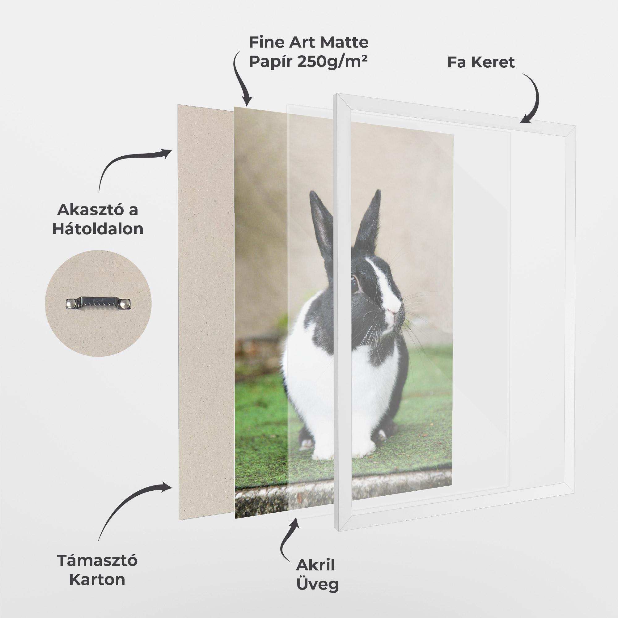 Keretezett Poszter Black Ear Rabbit mockup 1