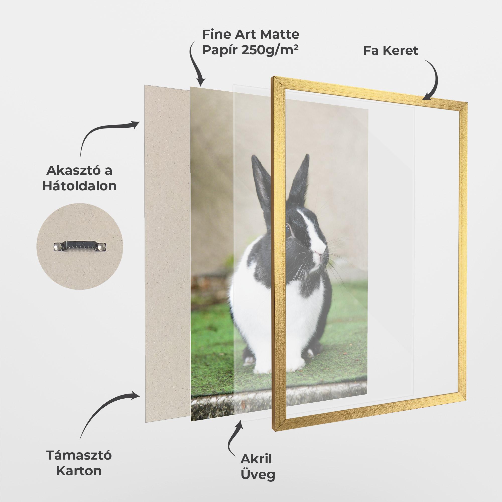 Keretezett Poszter Black Ear Rabbit mockup 1