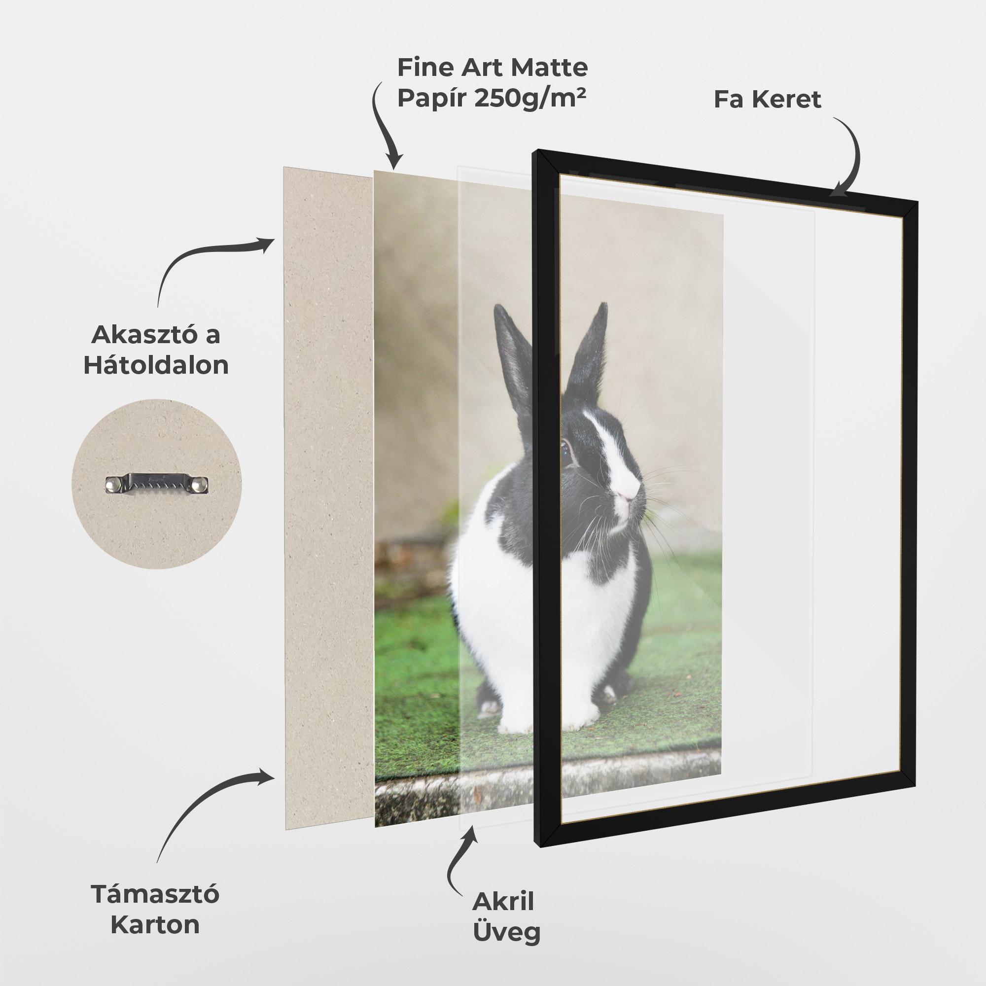 Keretezett Poszter Black Ear Rabbit mockup 1