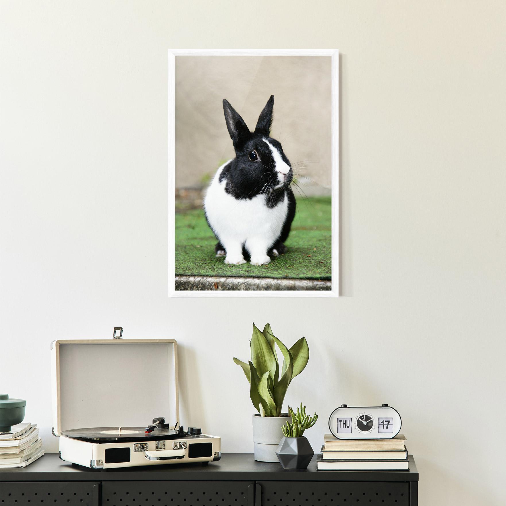 Keretezett Poszter Black Ear Rabbit mockup 2