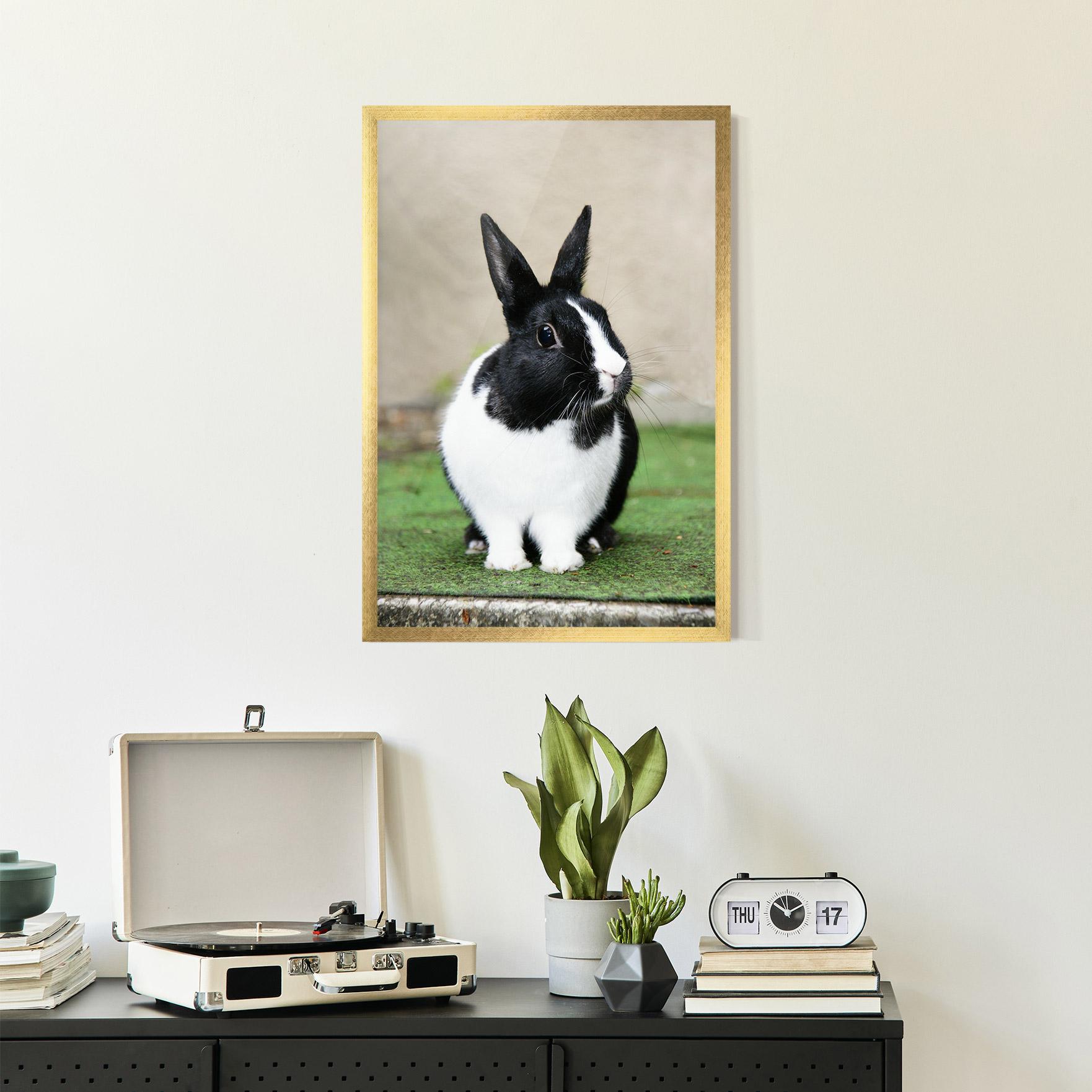 Keretezett Poszter Black Ear Rabbit mockup 2