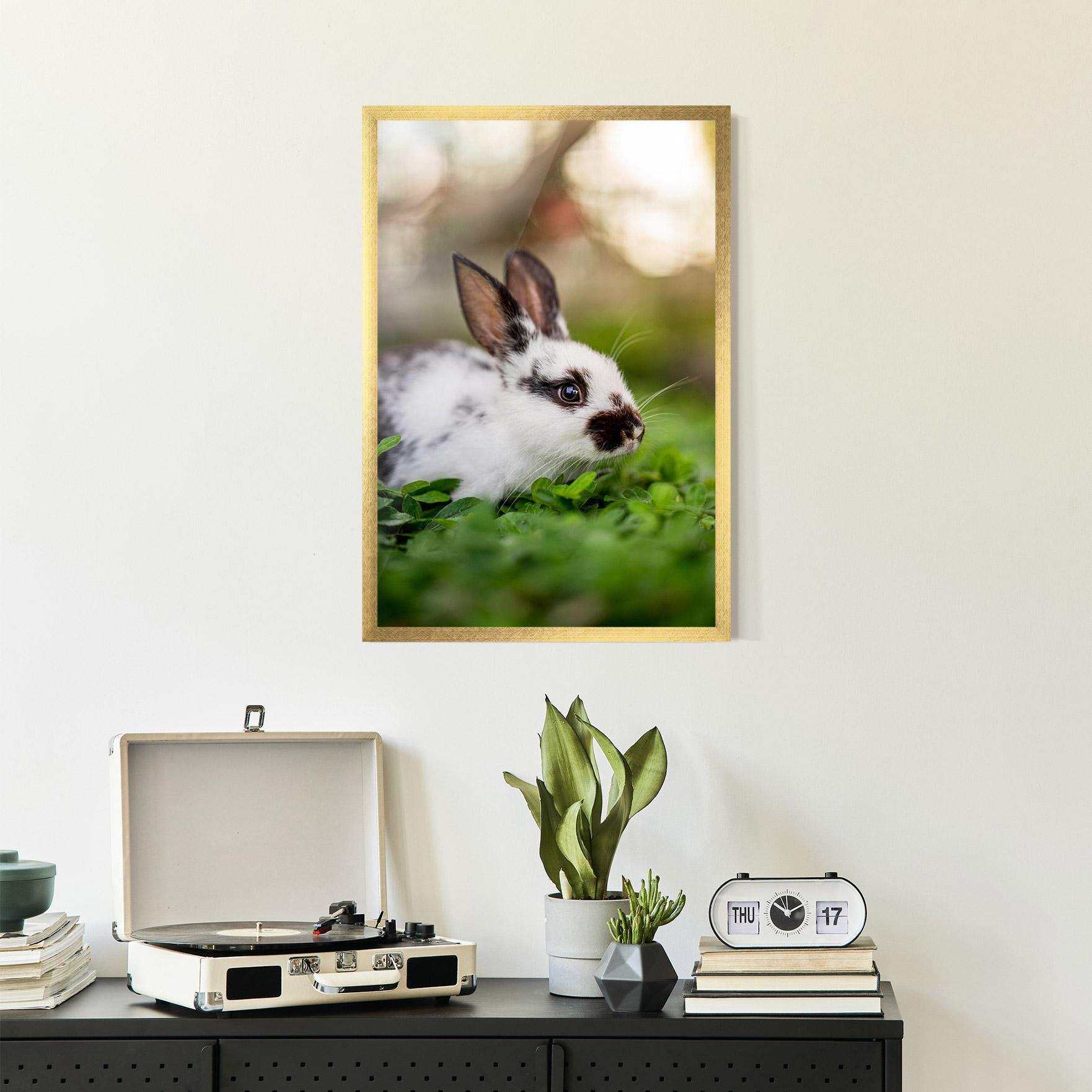 Keretezett Poszter White Black Bunny mockup 2