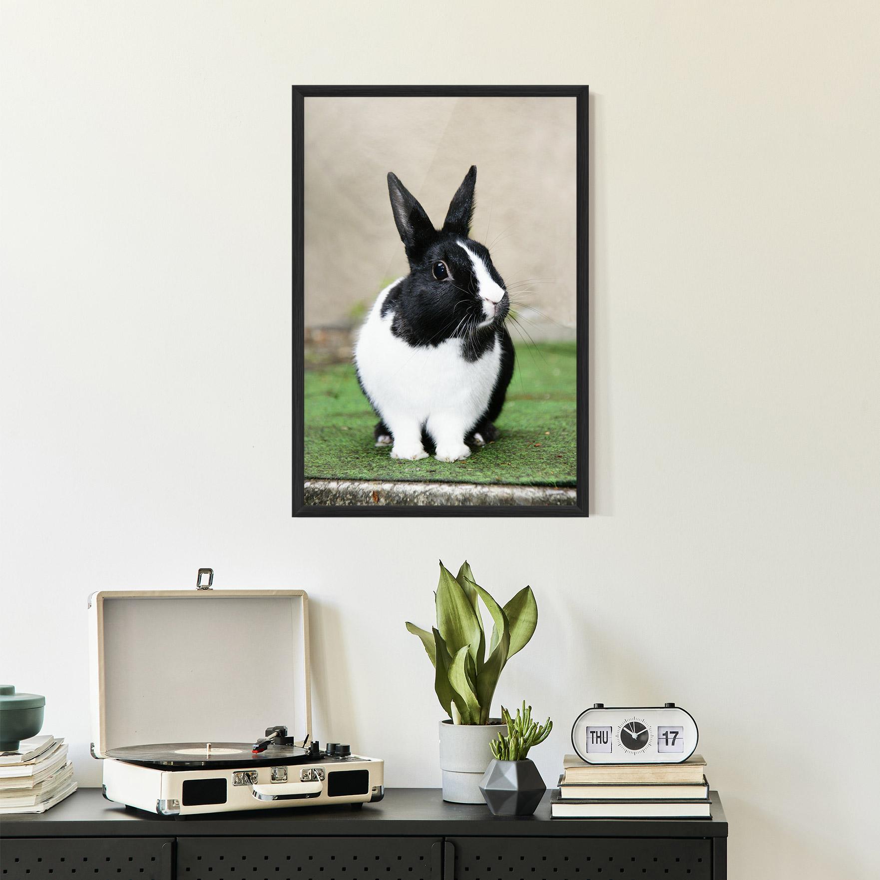 Keretezett Poszter Black Ear Rabbit mockup 2