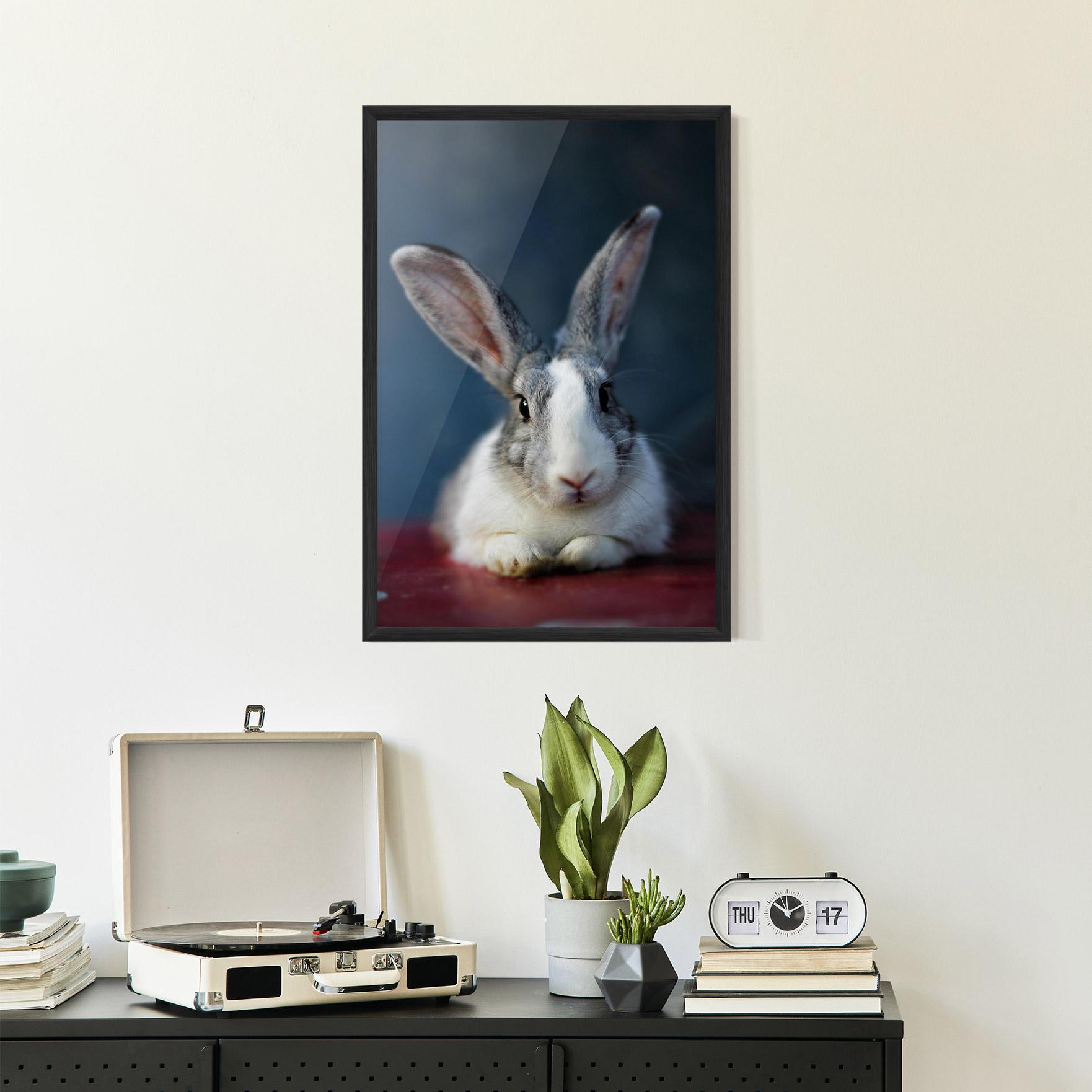 Keretezett Poszter Cute Grey Bunny mockup 2