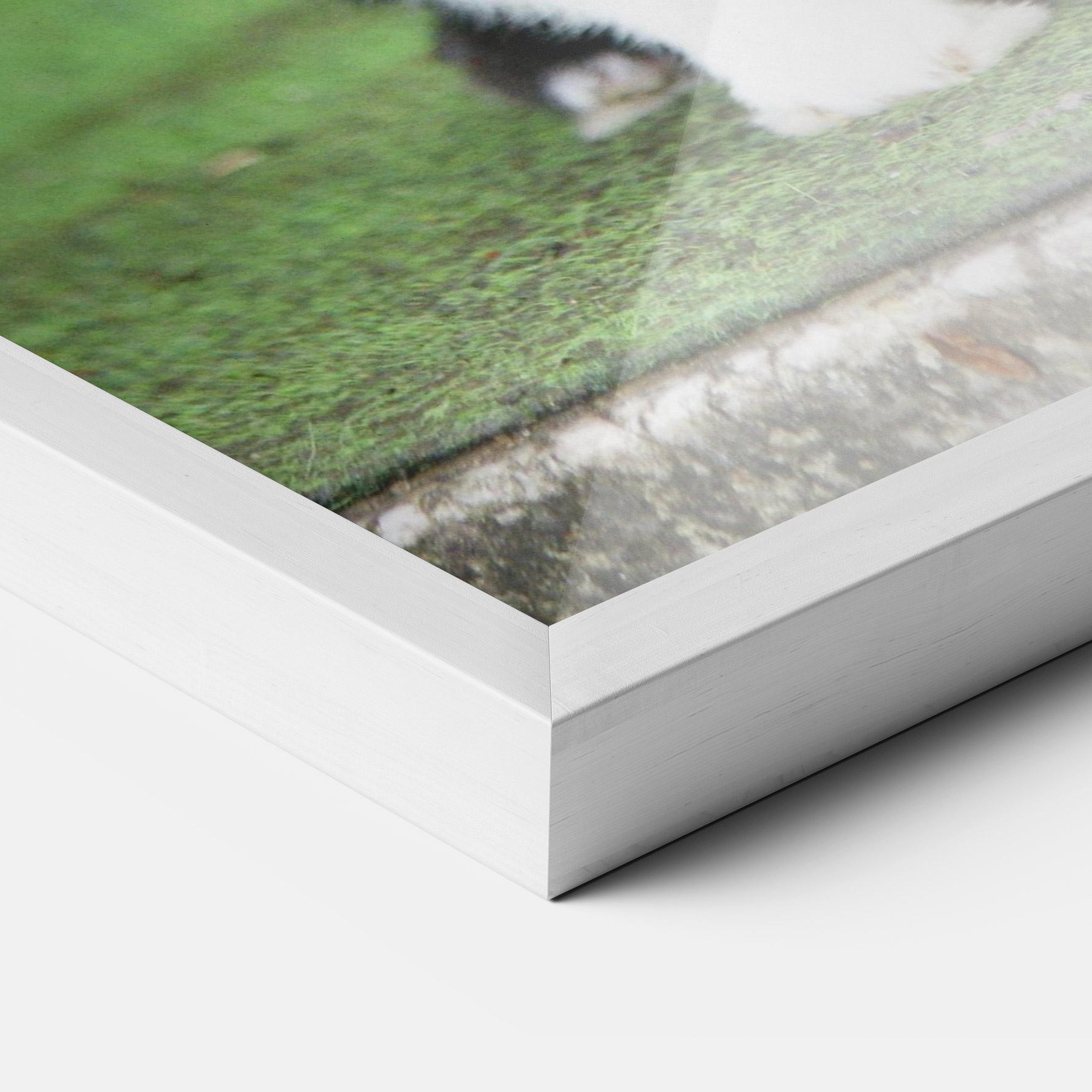 Keretezett Poszter Black Ear Rabbit mockup 3